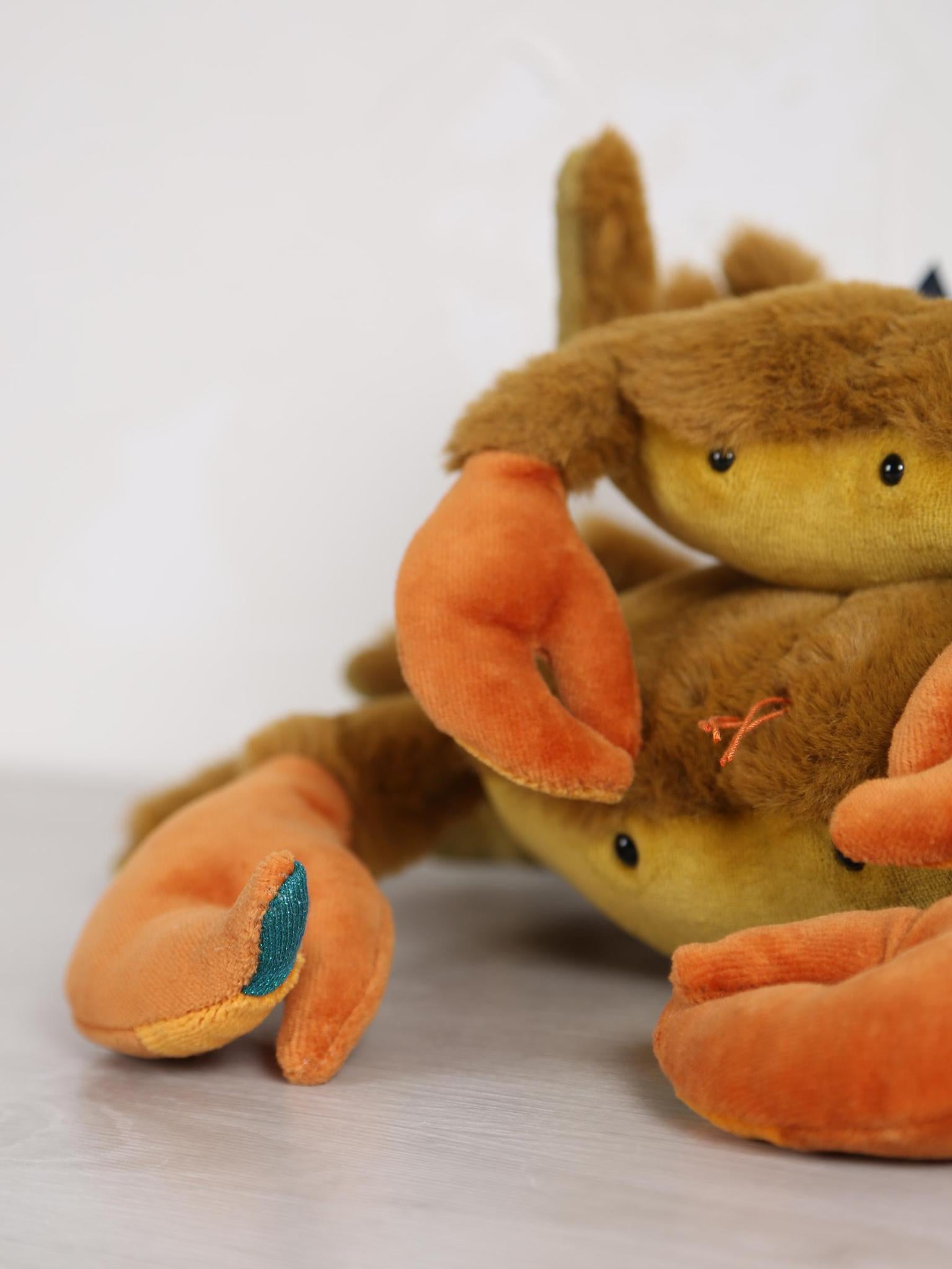 Small crab - Tout autour du monde