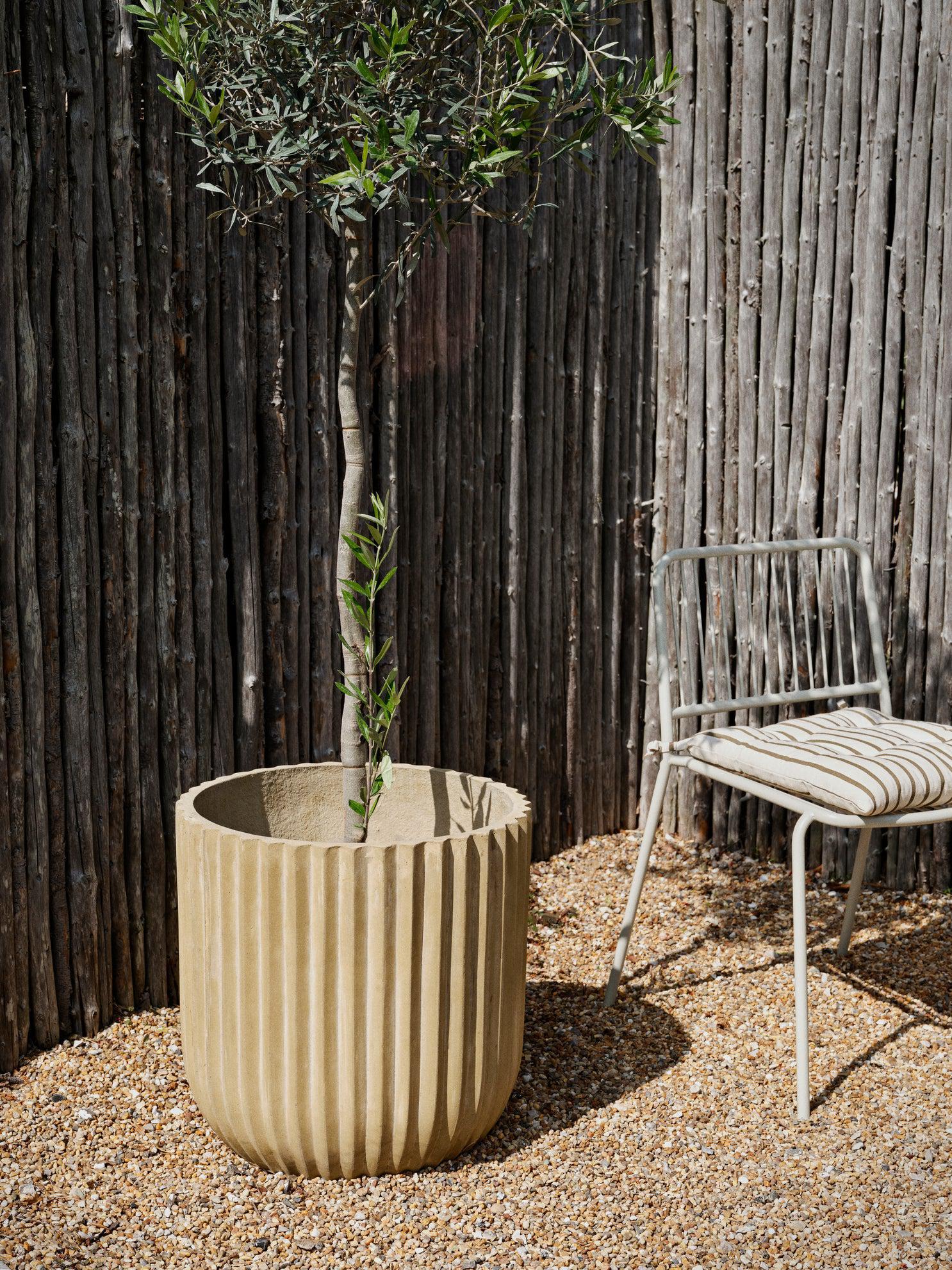 Franca Seat Cushion - 2 Colours Available
