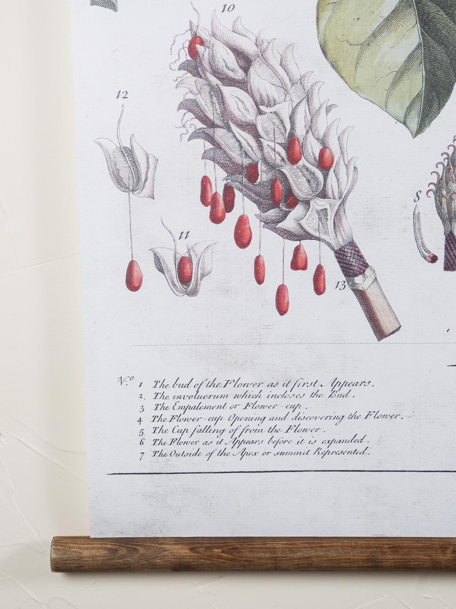 Wall Hanging Magnolia