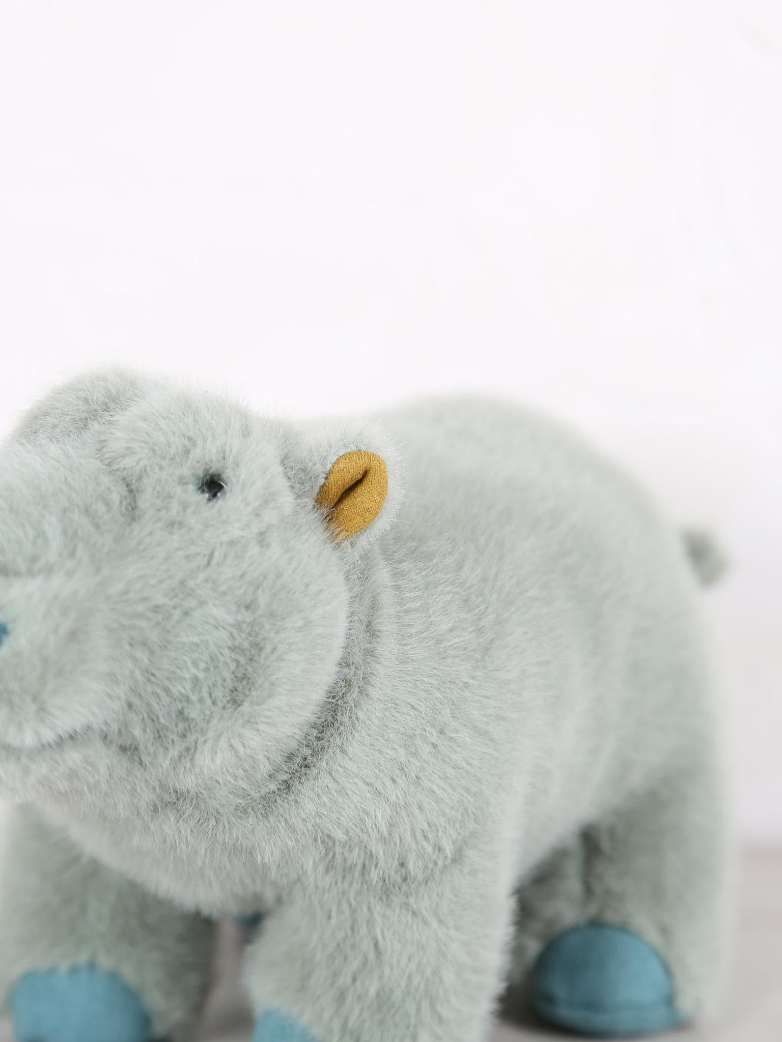 Small hippopotamus - Tout autour du monde