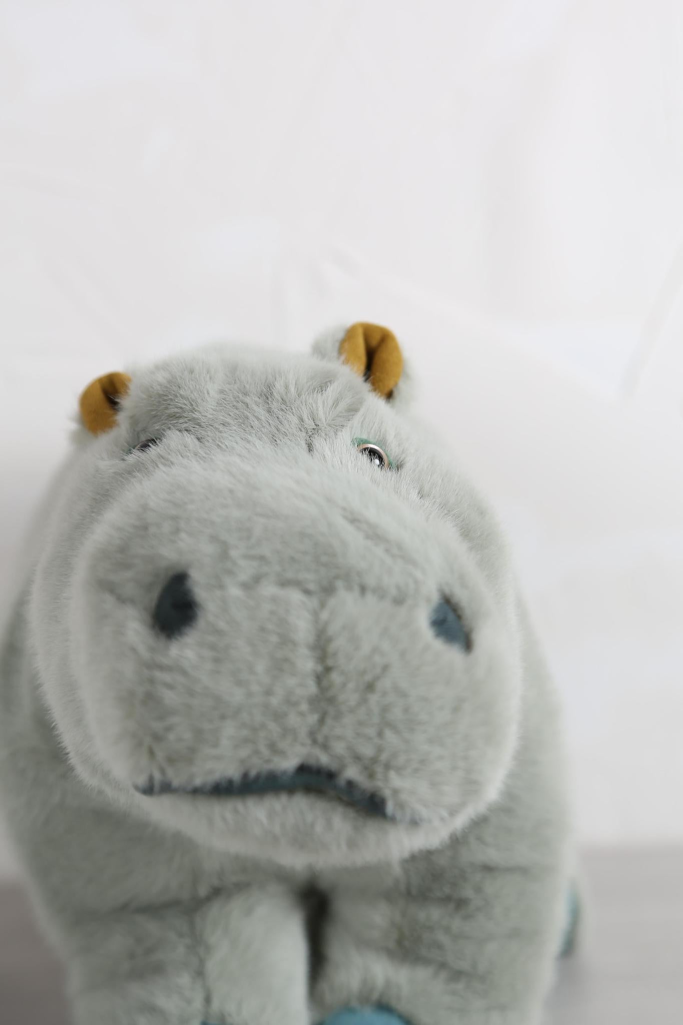 Large hippopotamus - Tout autour du monde