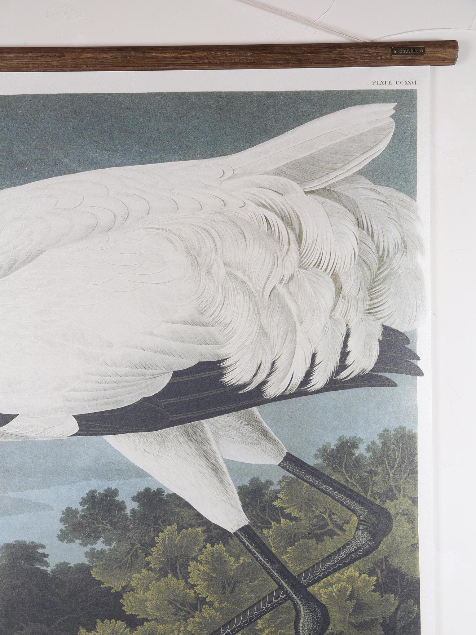 Wall Hanging Hooping Crane