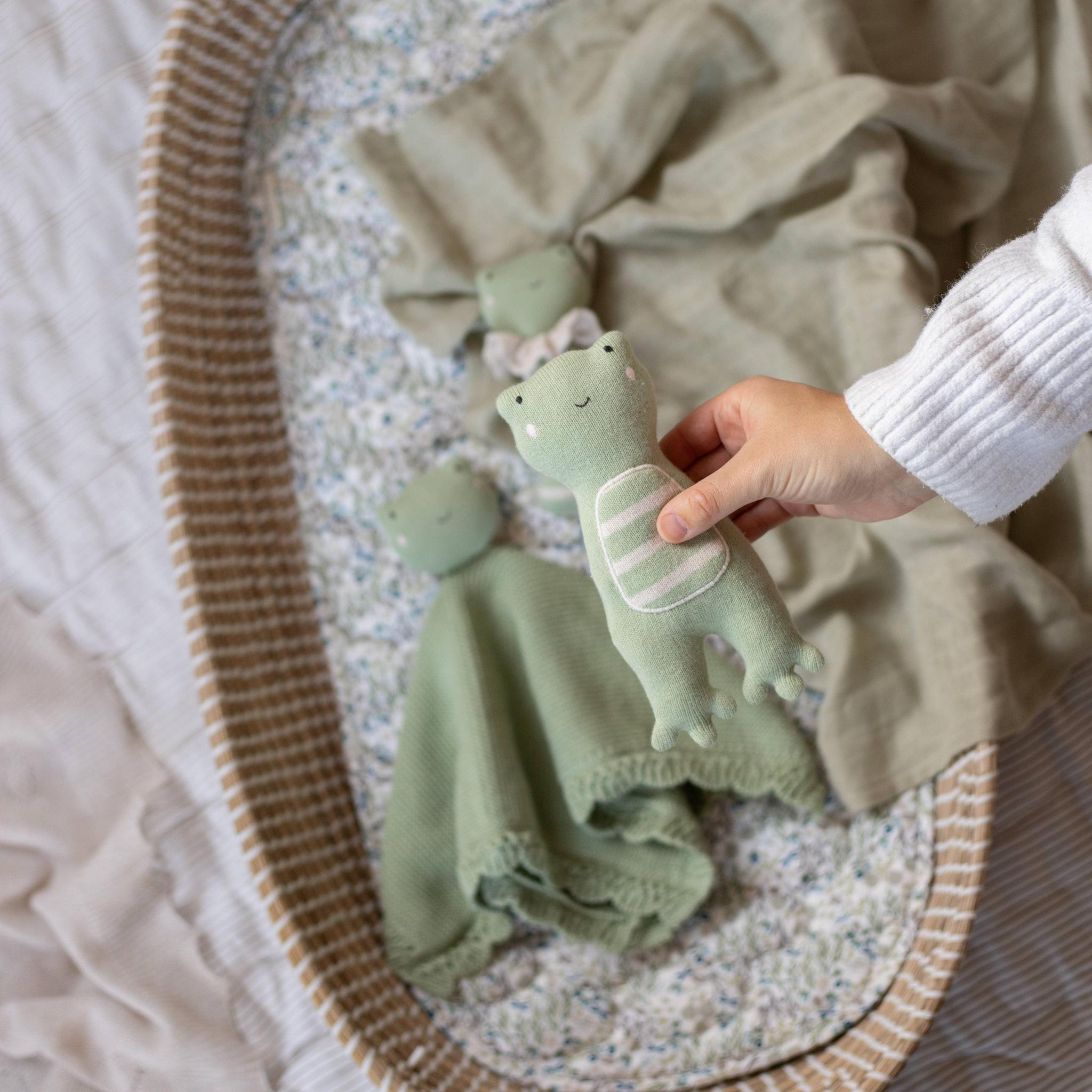 Little Hands Organic Soft Toy - Friendly Frog