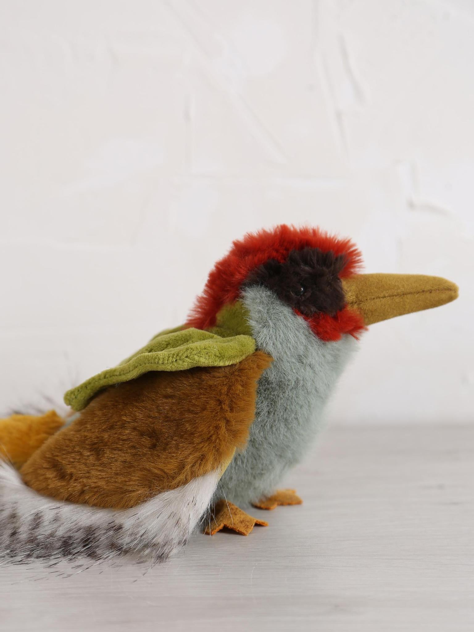 Green woodpecker - Tout autour du monde
