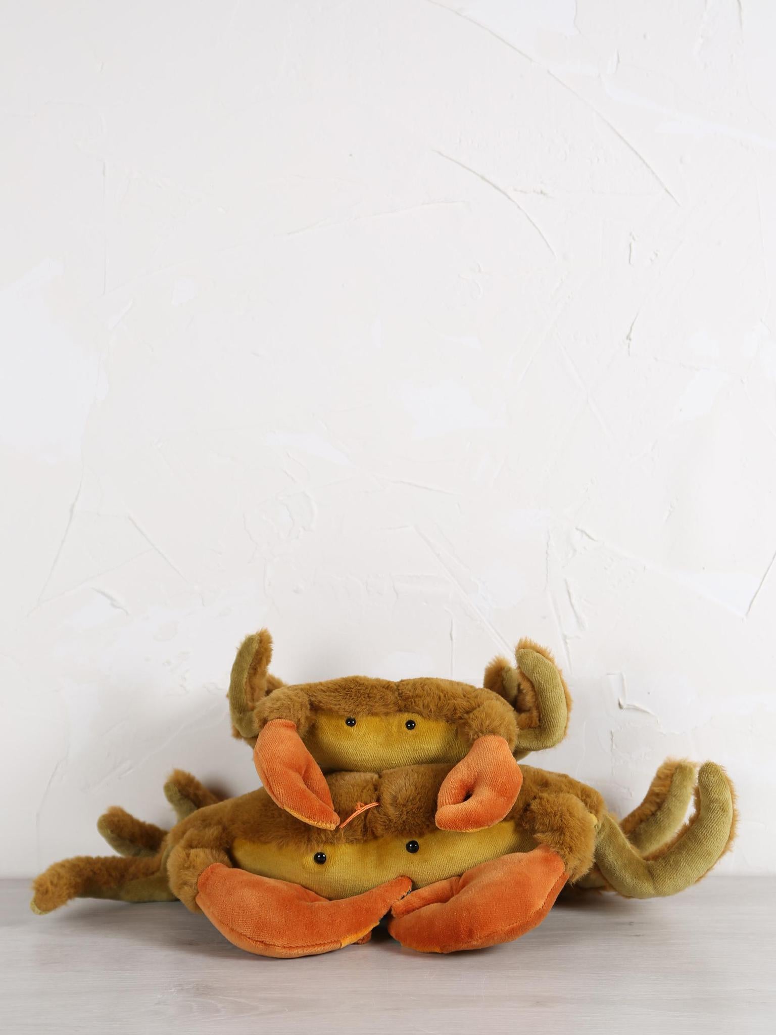 Small crab - Tout autour du monde