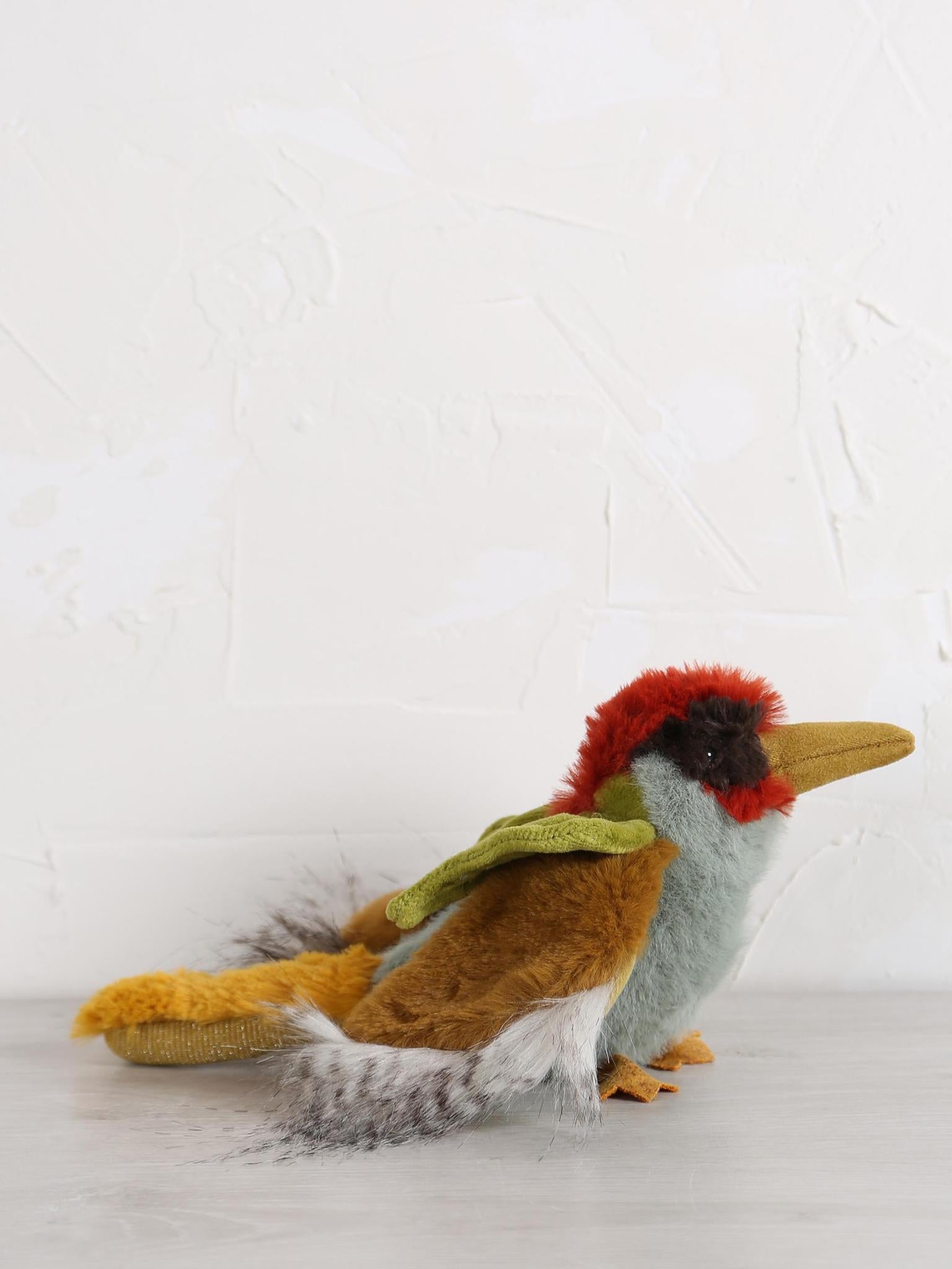 Green woodpecker - Tout autour du monde