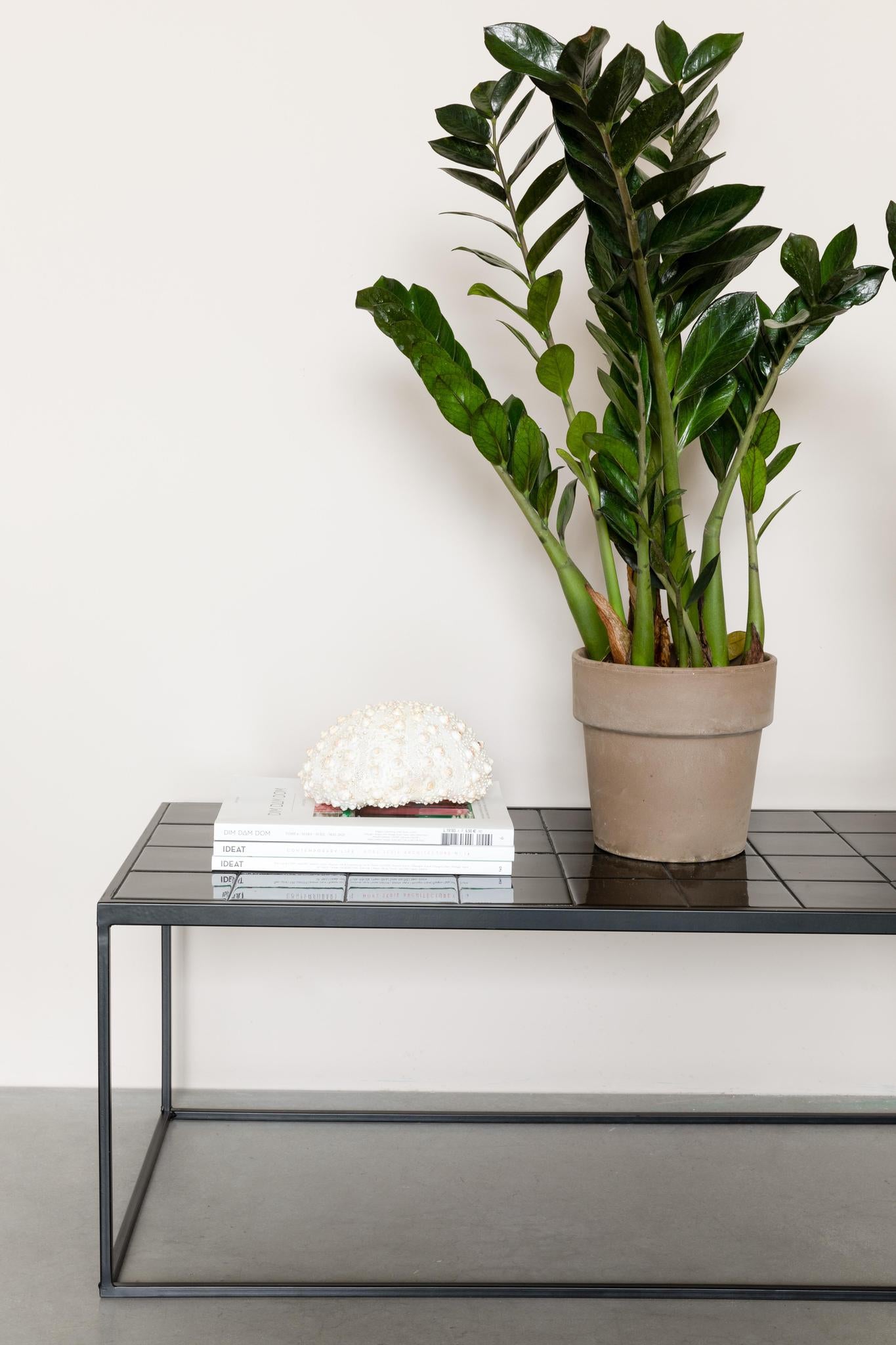 Mabel Glazed Coffee Table - 3 Colours Available