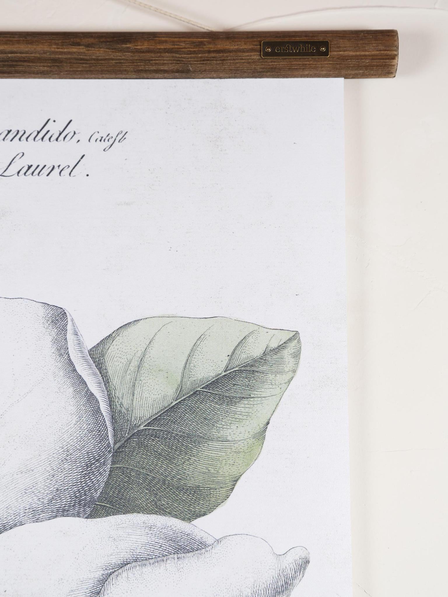 Wall Hanging Magnolia