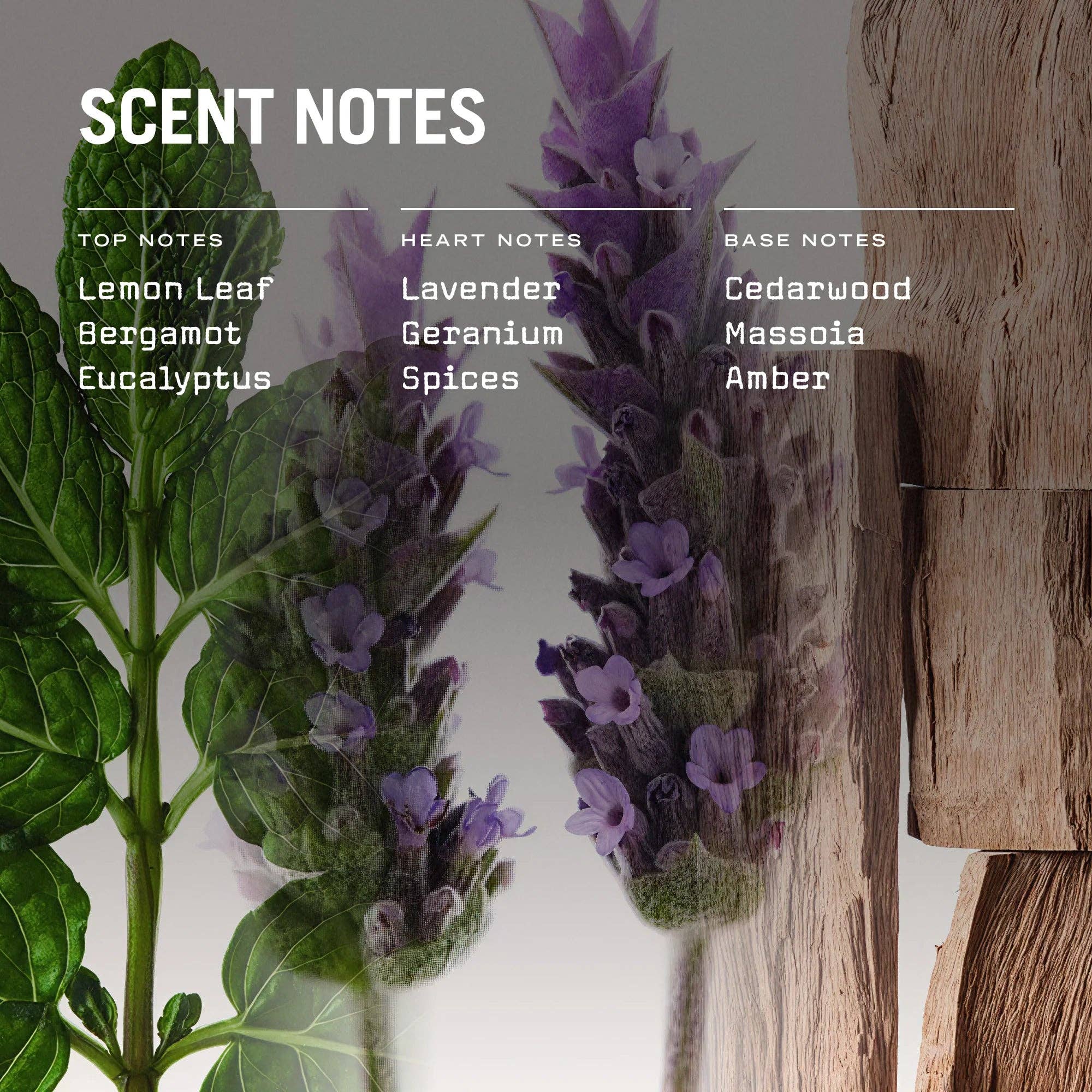 Sol Soy Wax Scented Candle - Lemon Leaf, Lavender, Cedarwood