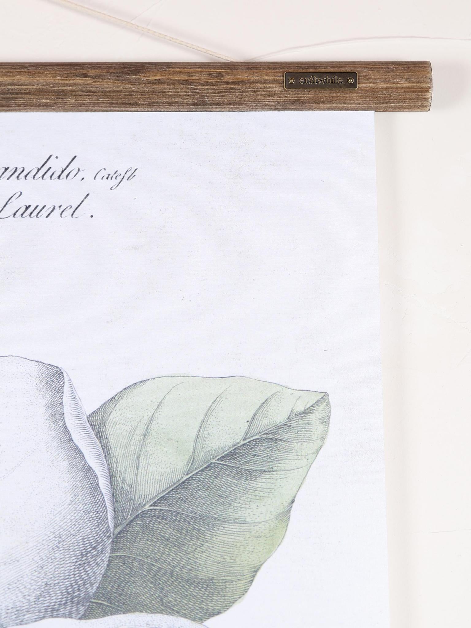 Wall Hanging Magnolia