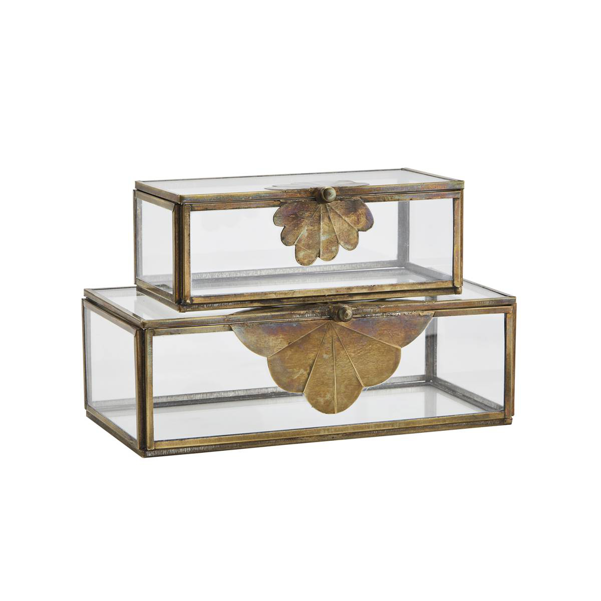 Brass Leaf Glass Box - Aged brass - 2 Sizes Available