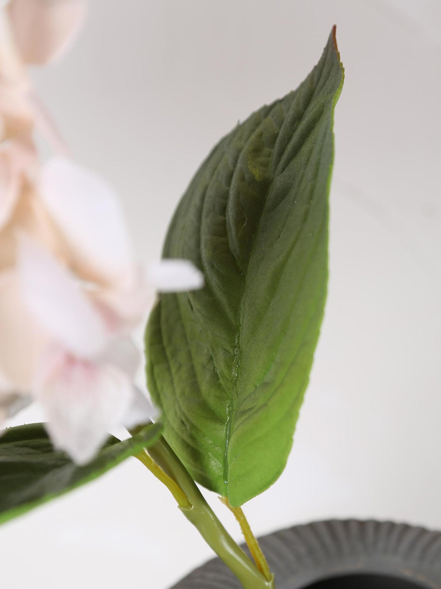 Faux Real Touch Pale Blush Hydrangea