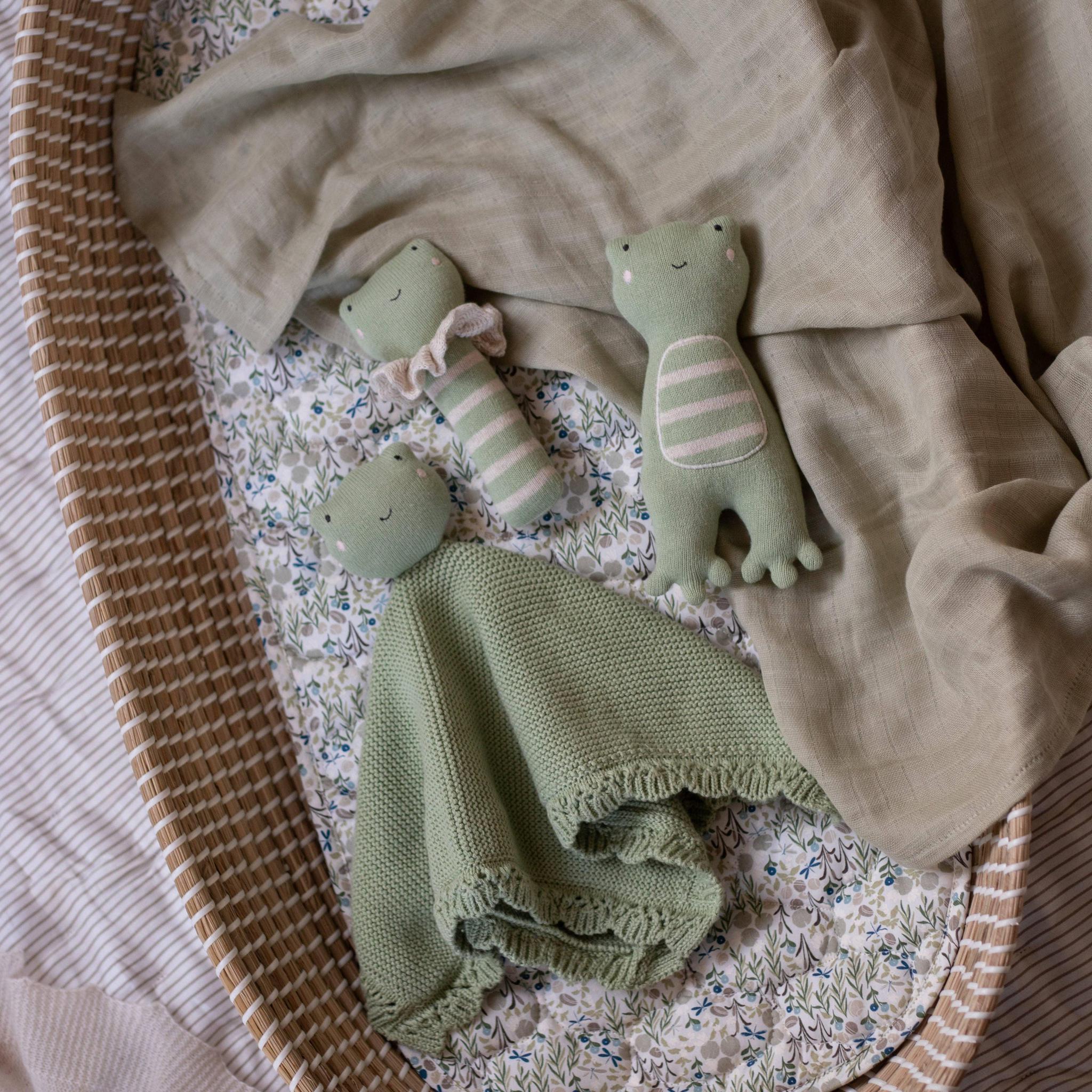 Little Hands Organic Soft Toy - Friendly Frog
