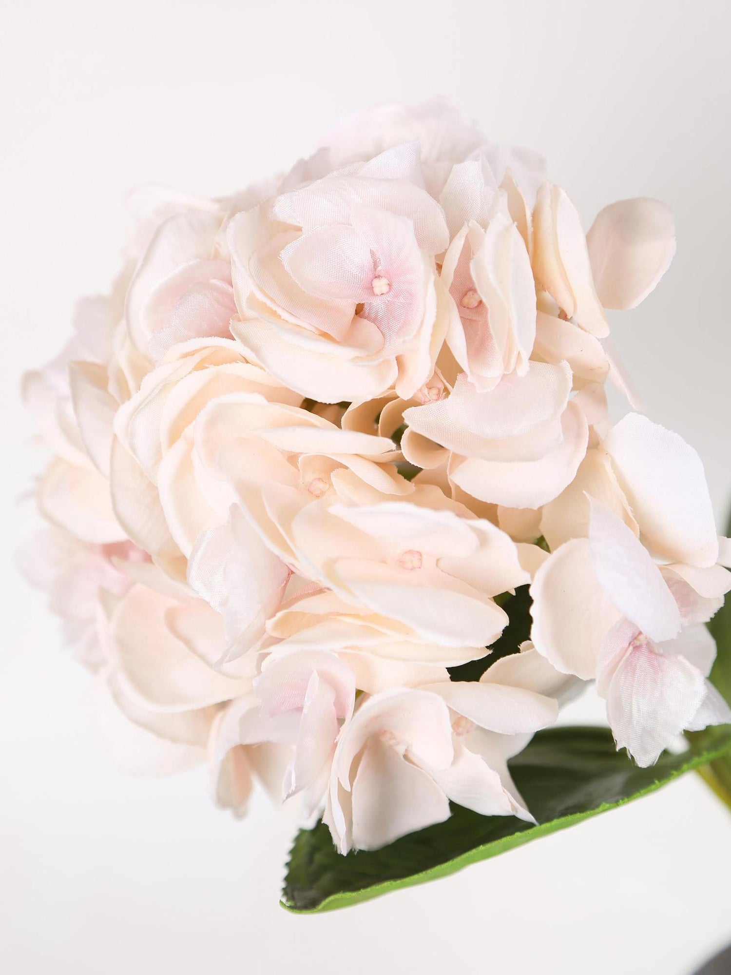 Faux Real Touch Pale Blush Hydrangea