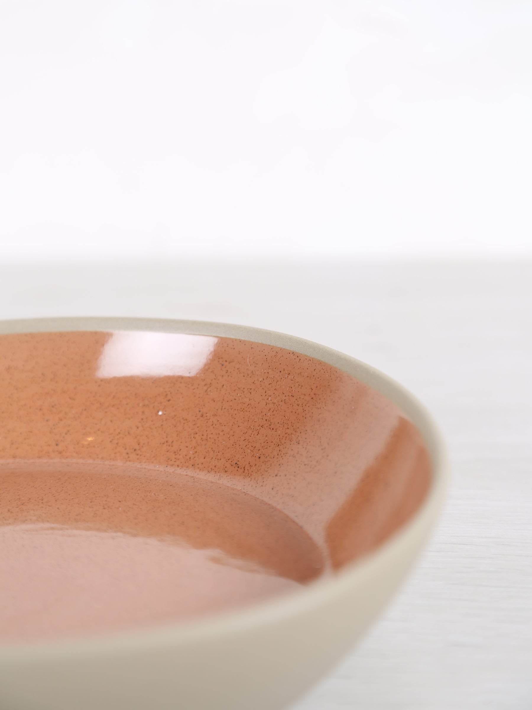 Primeval Porcelain Pasta Bowl - Terracotta