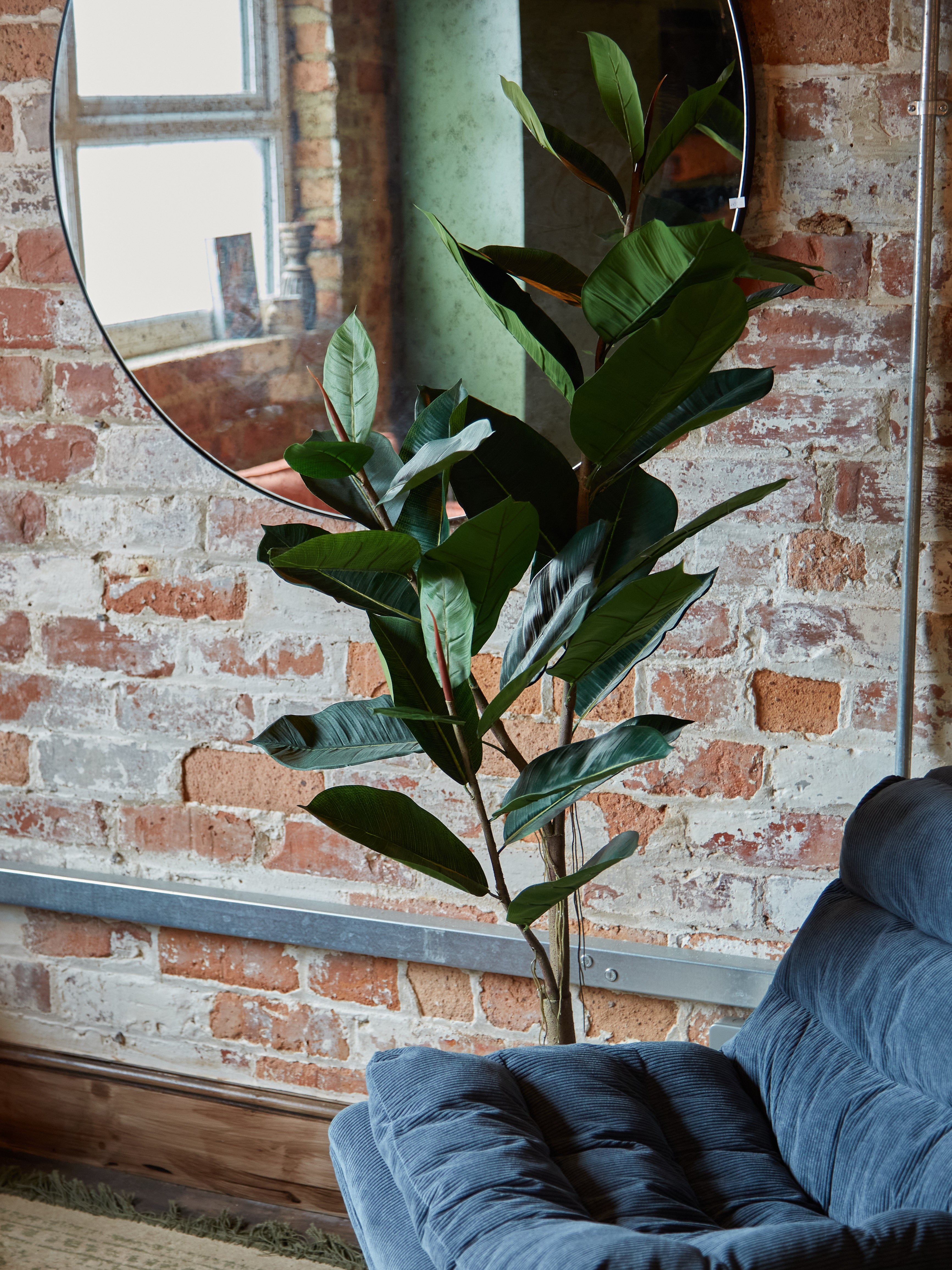 Green Faux Rubber Tree in Black Pot