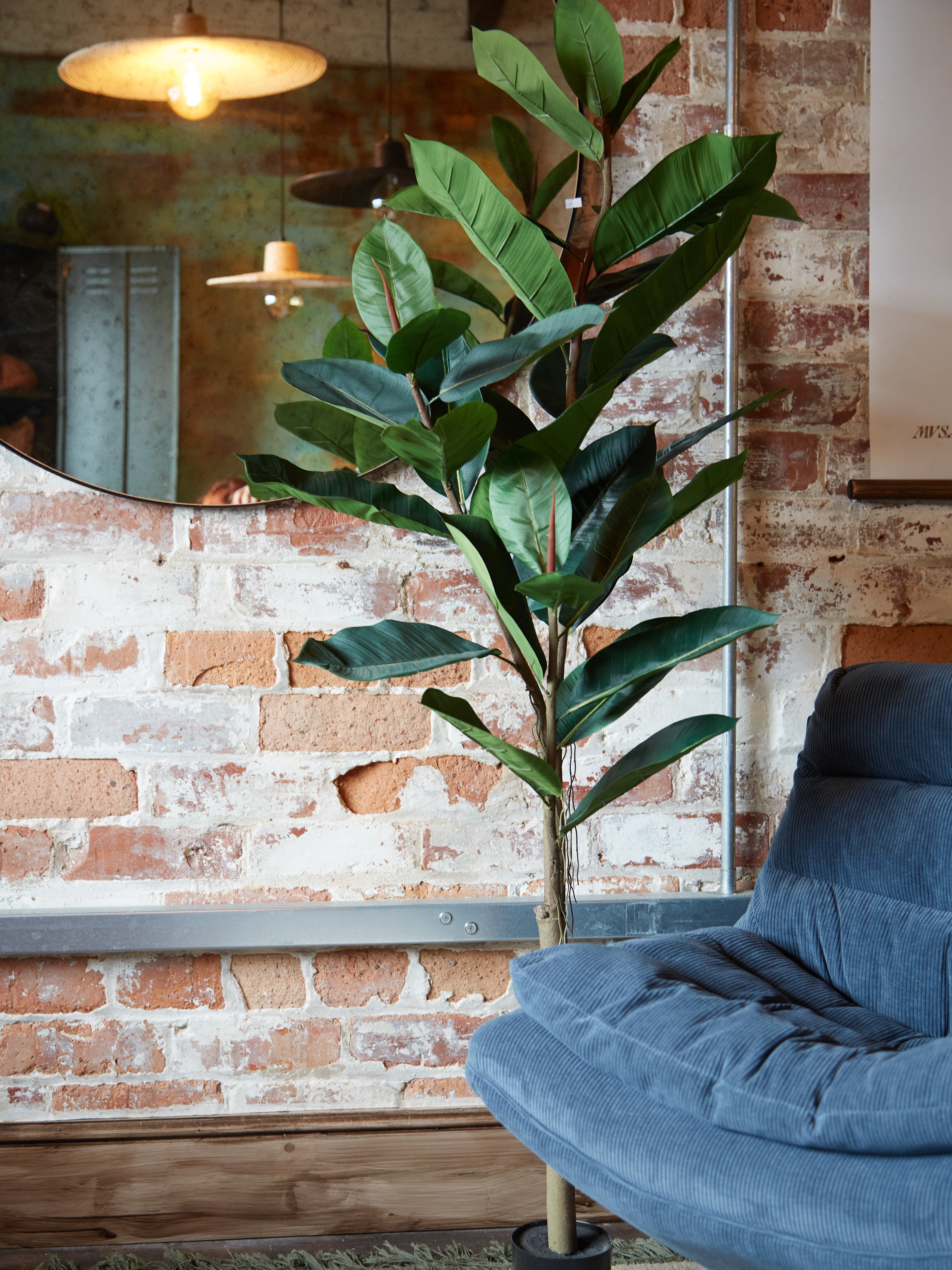 Green Faux Rubber Tree in Black Pot