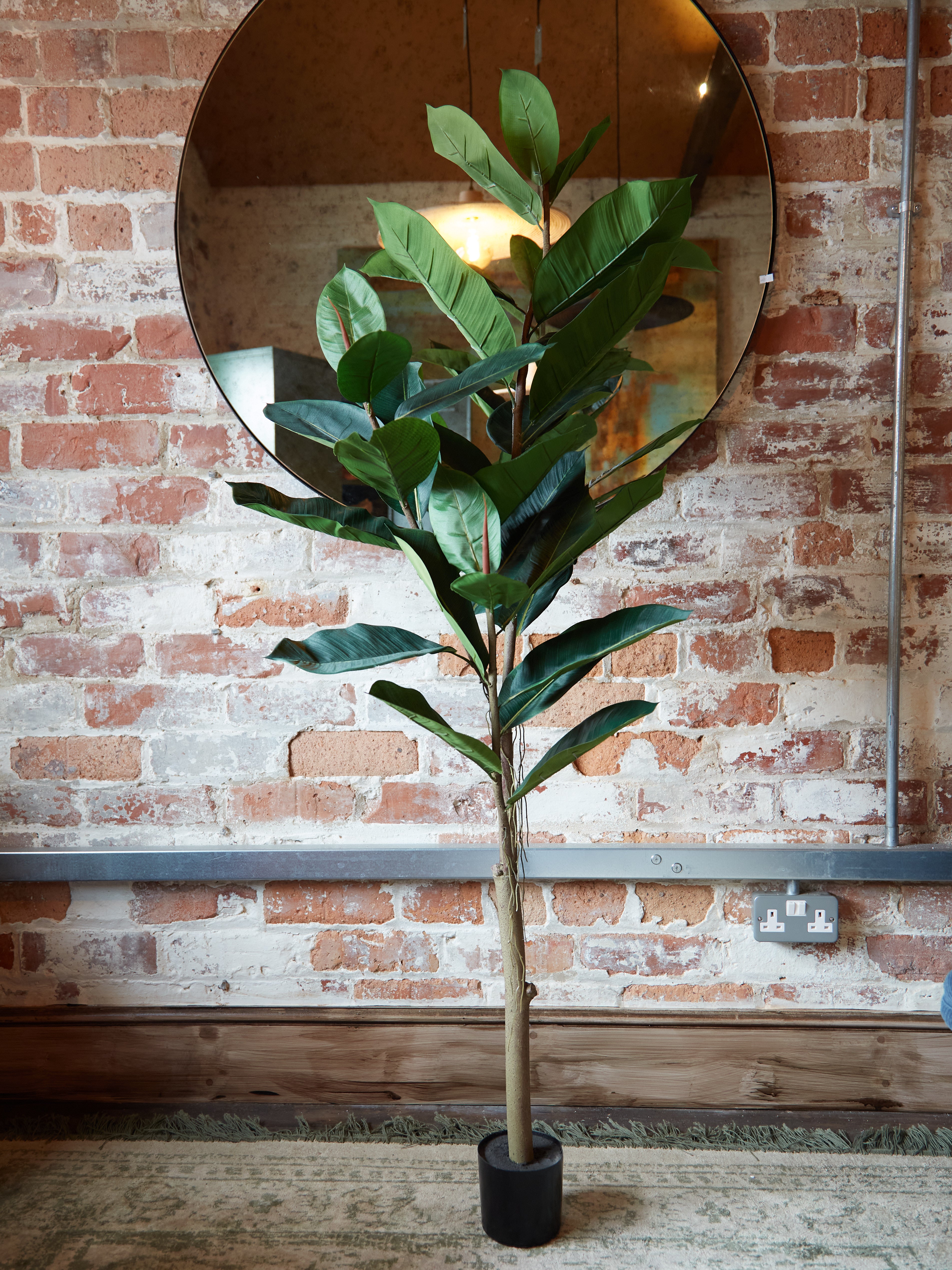 Green Faux Rubber Tree in Black Pot