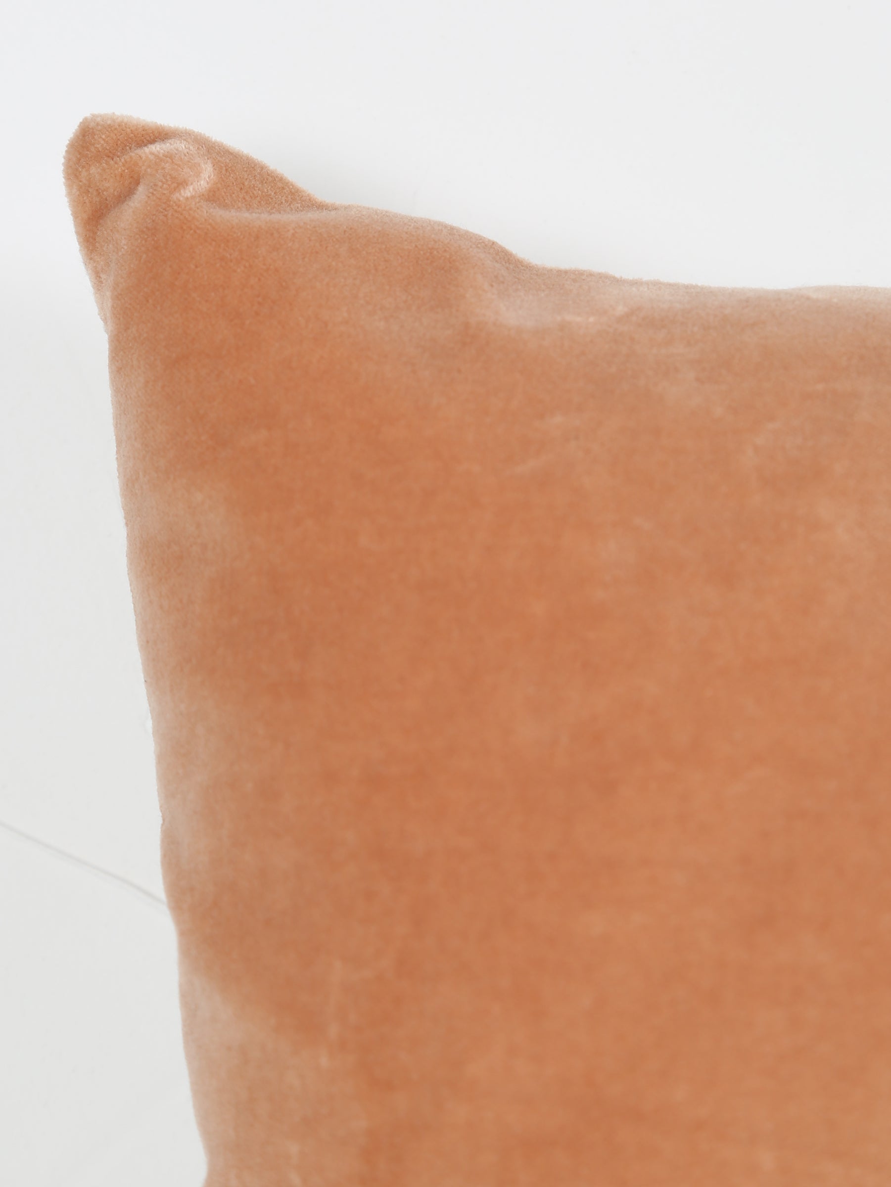 Elise Velvet Cushion - Epice - 2 Sizes Available