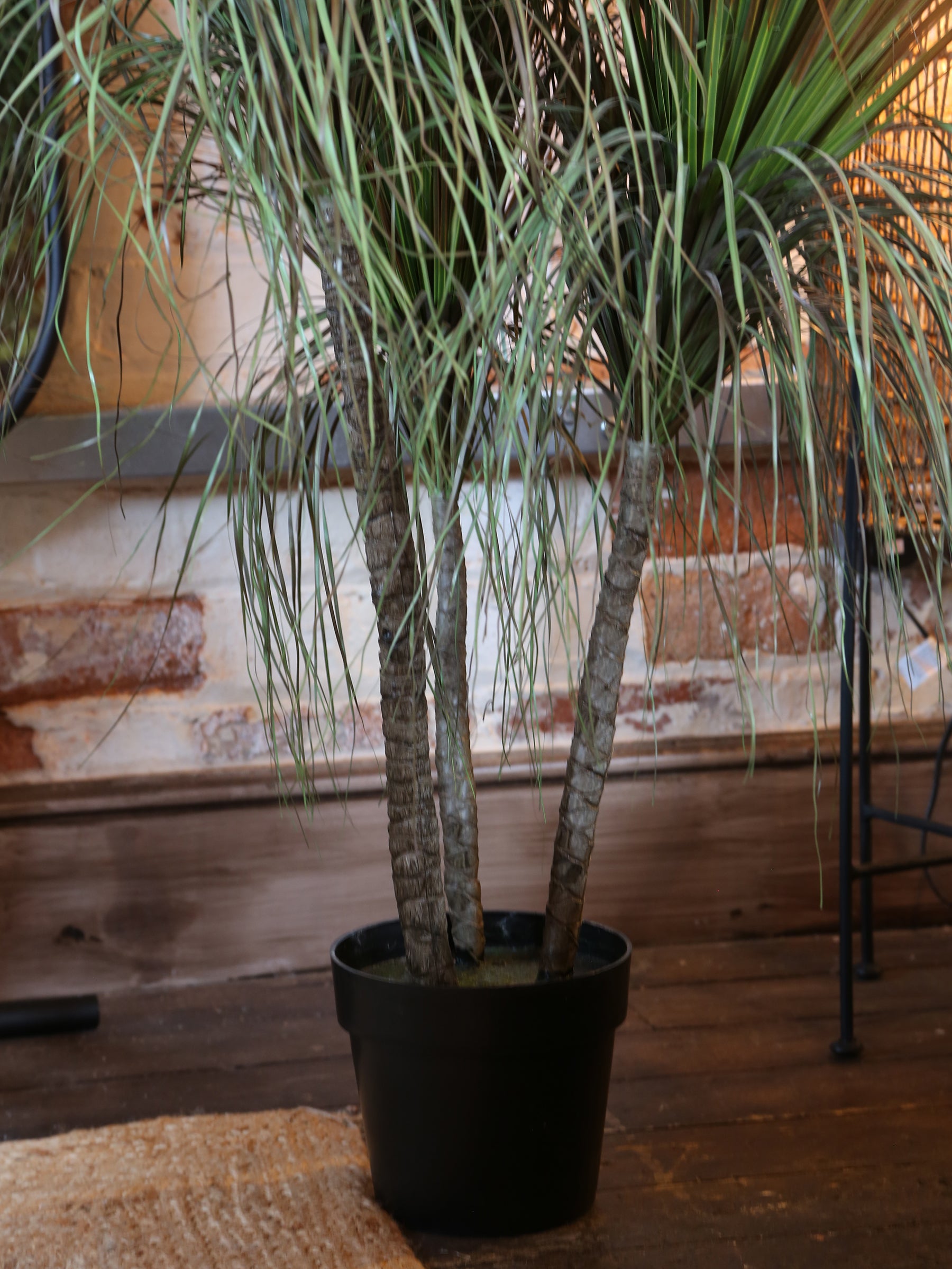 Faux Dense Grass Plant
