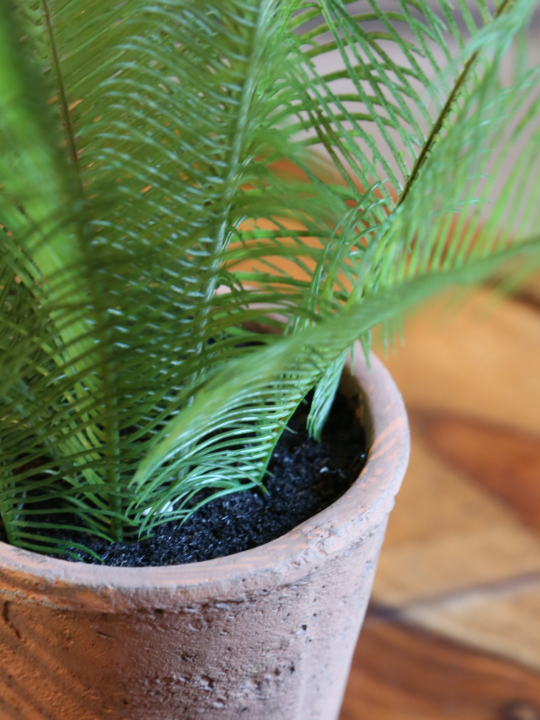 Faux Java Fern - Terracotta Pot