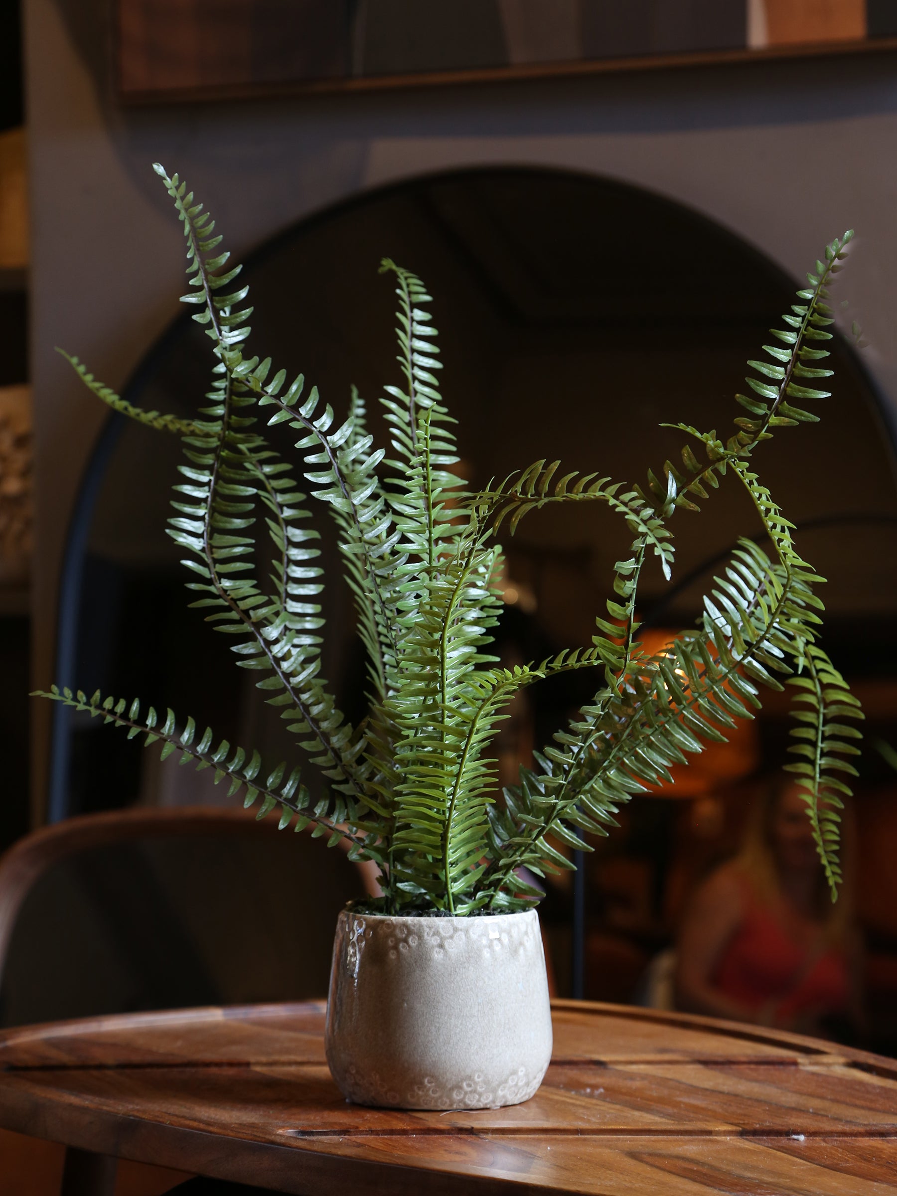 Faux Fern - Khaki Ceramic Pot