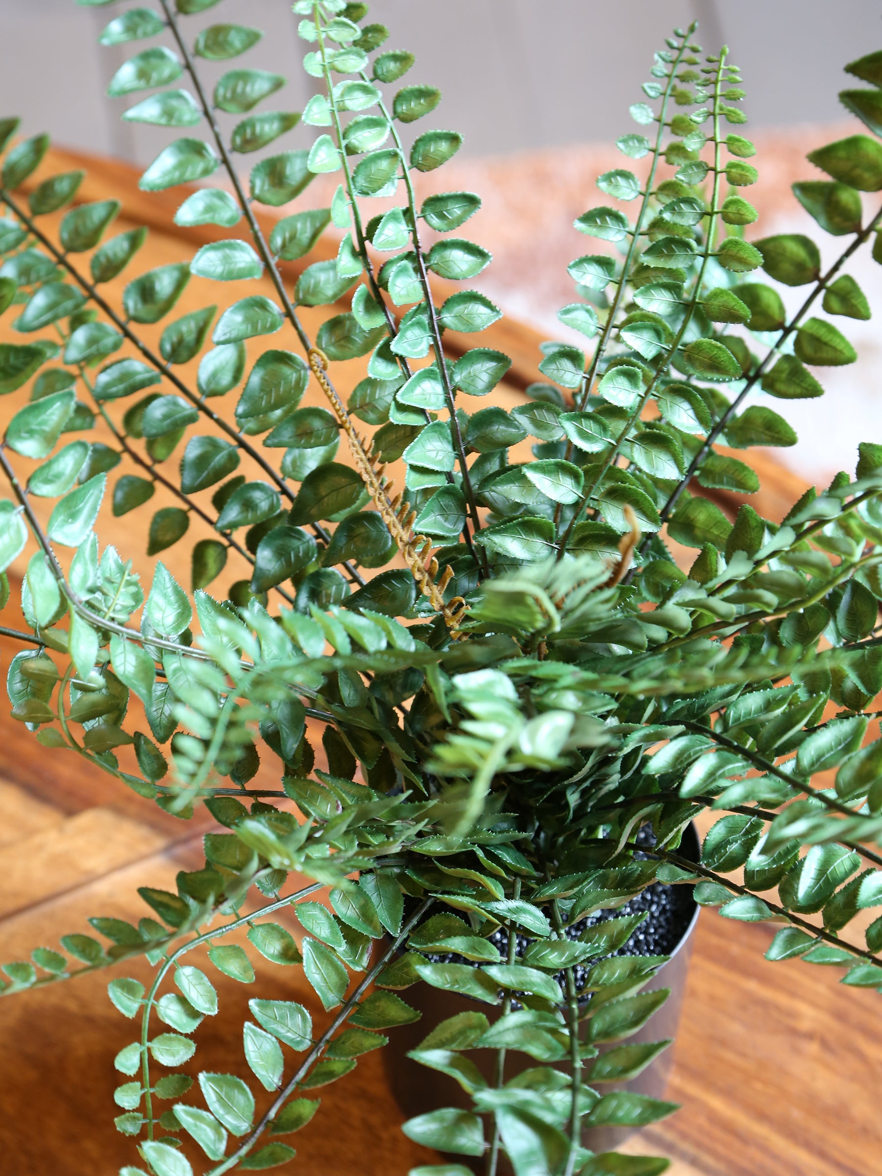Faux Button Leaf Fern