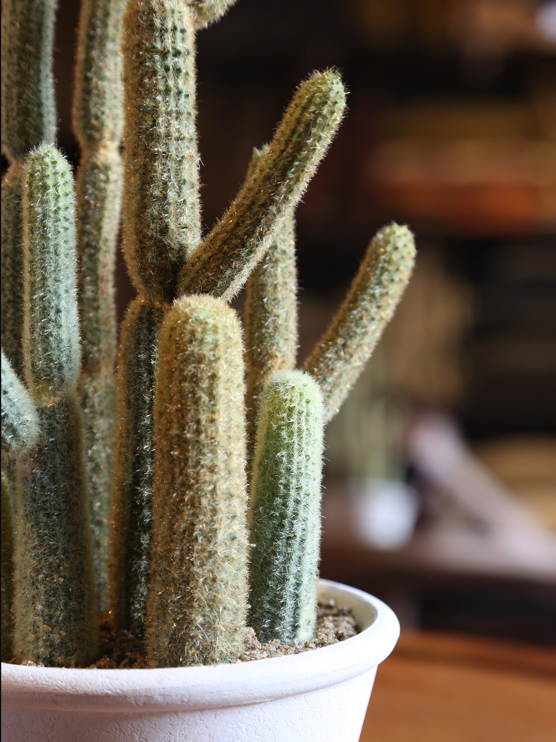 Faux Potted Cactus