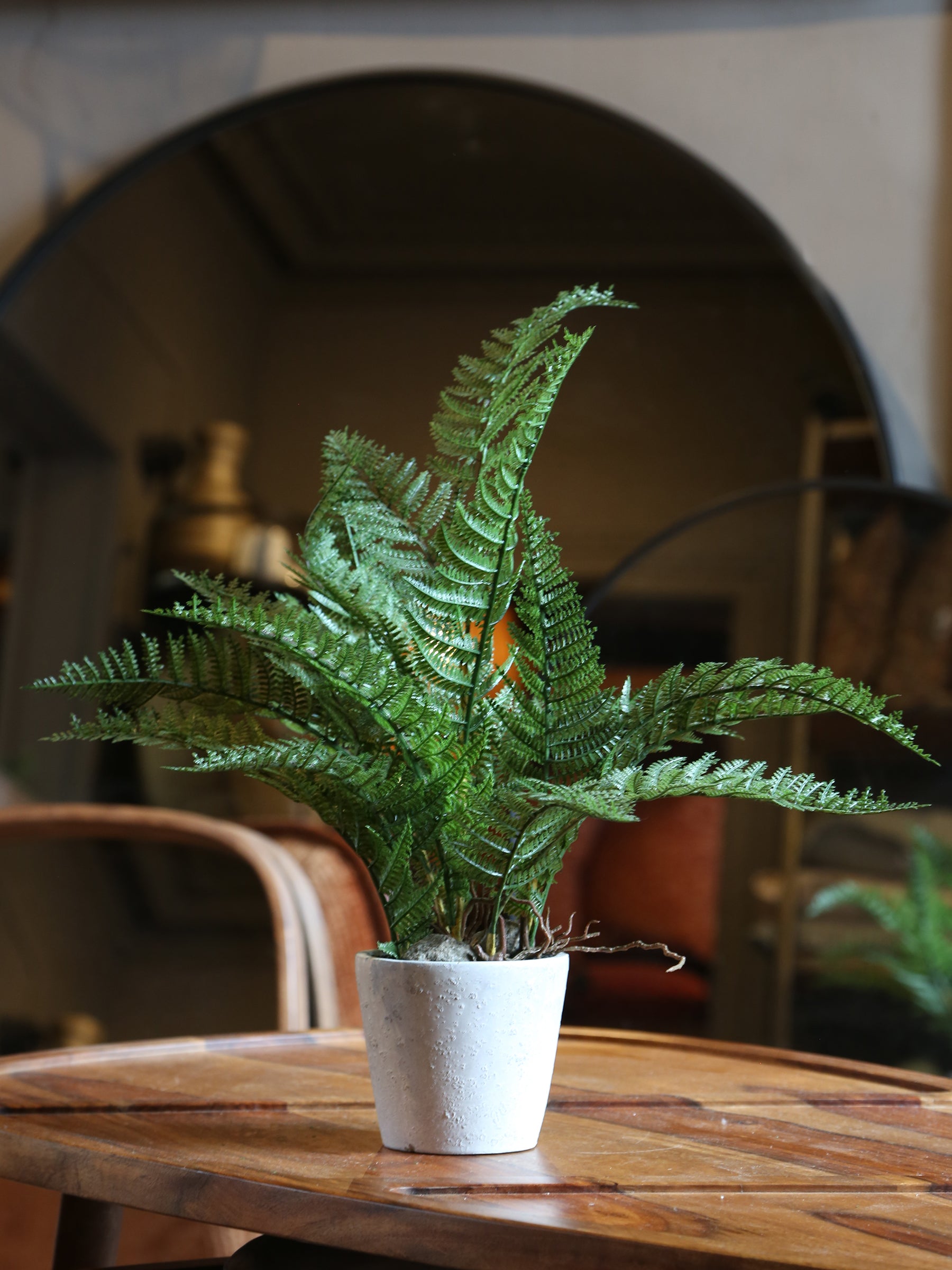 Faux Bracken Fern in Pot
