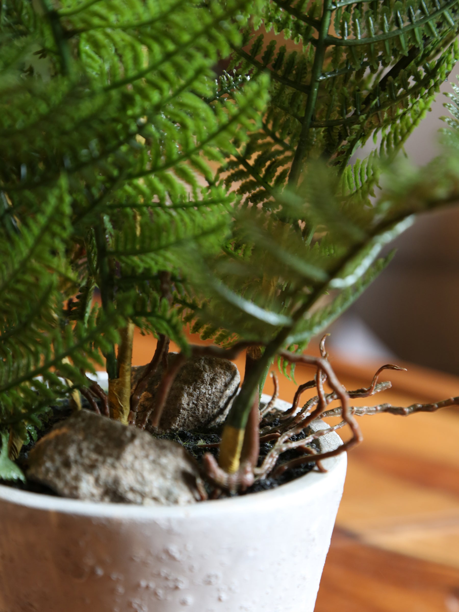 Faux Bracken Fern in Pot