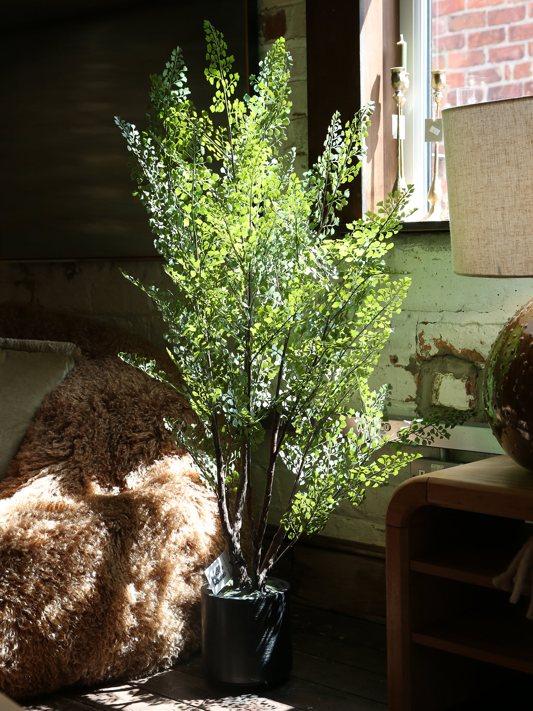 Faux Dotted Maiden Fern