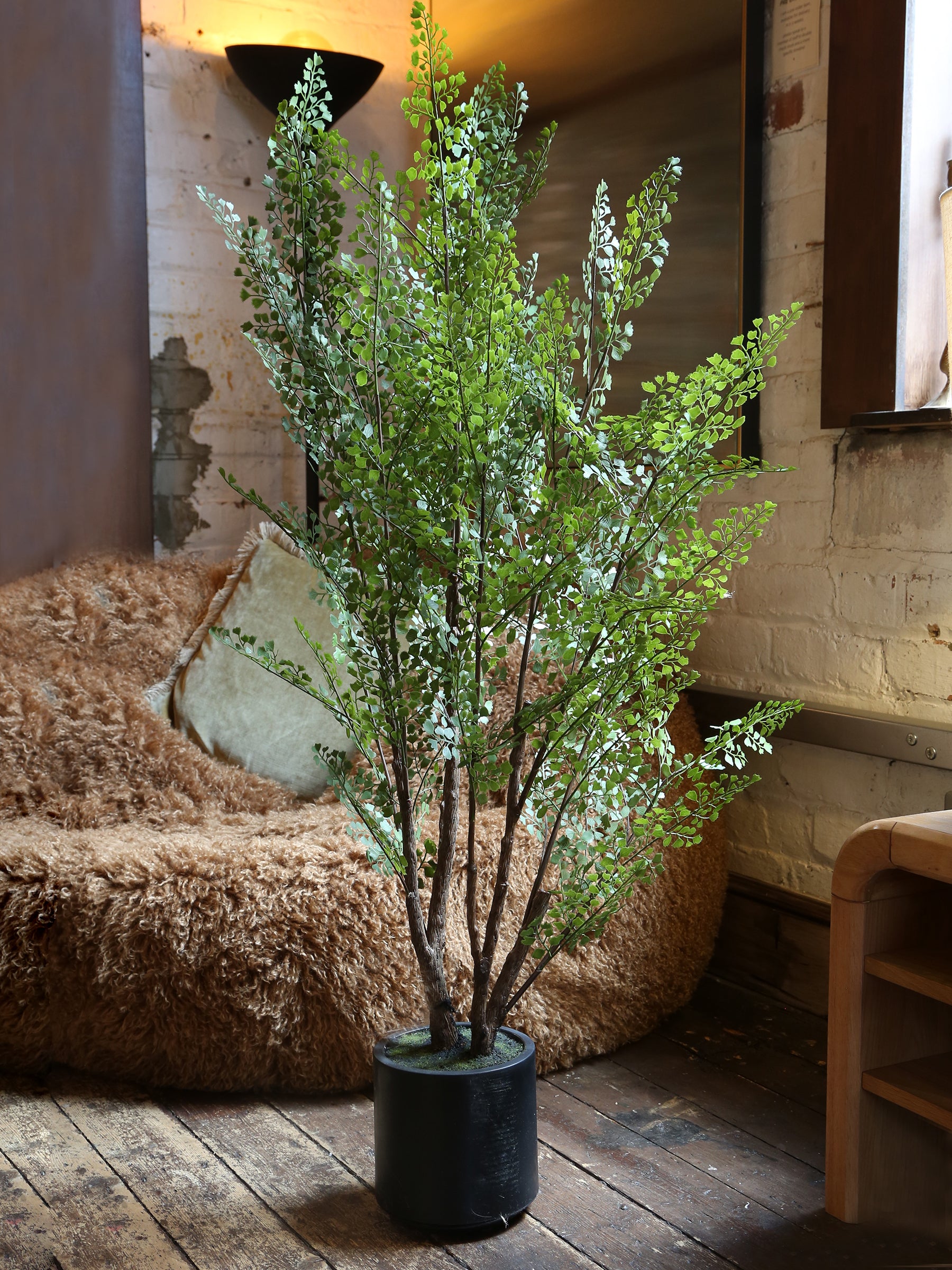 Faux Dotted Maiden Fern