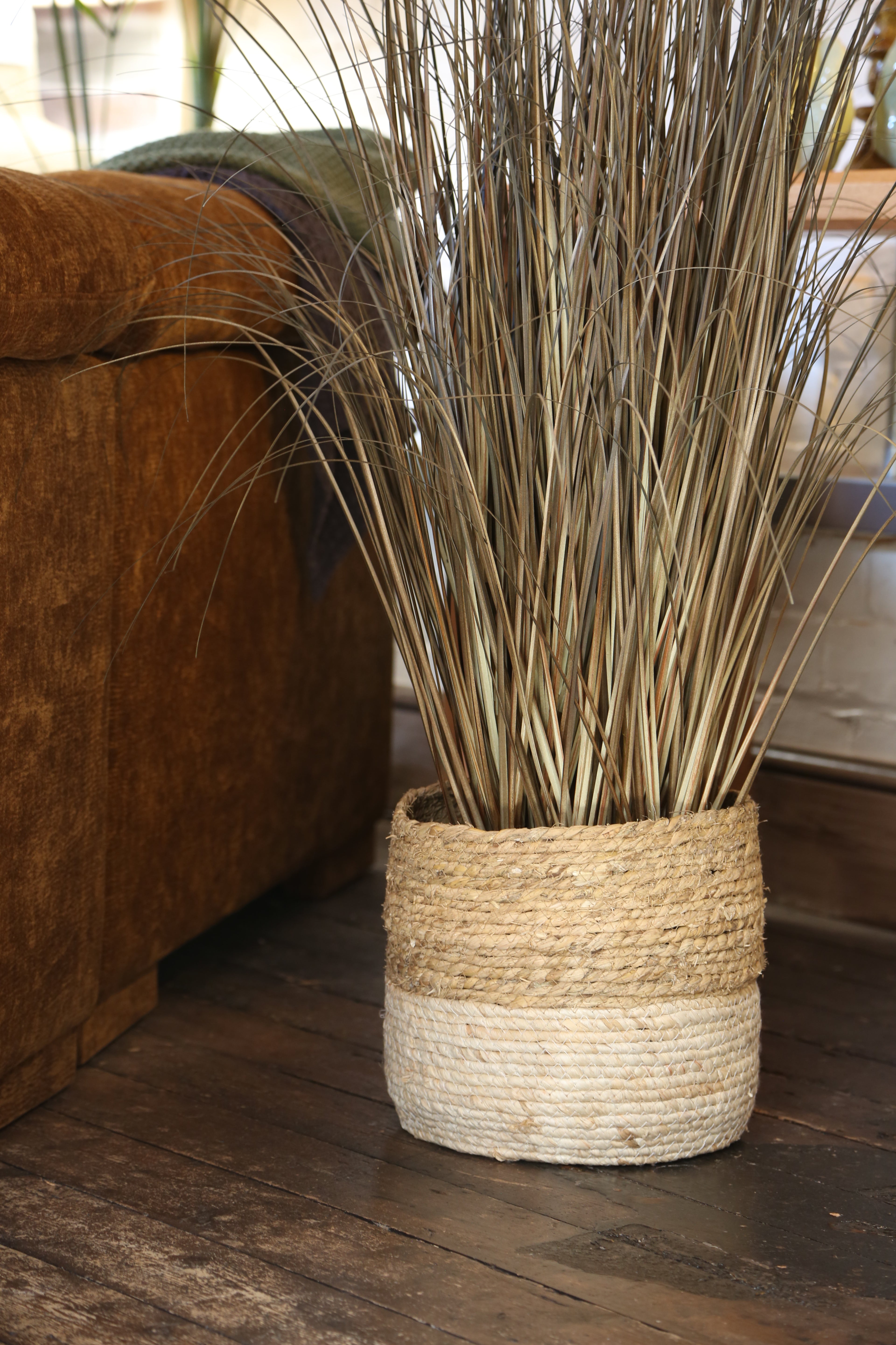 Faux Auburn Botanical Grass - Potted Plant