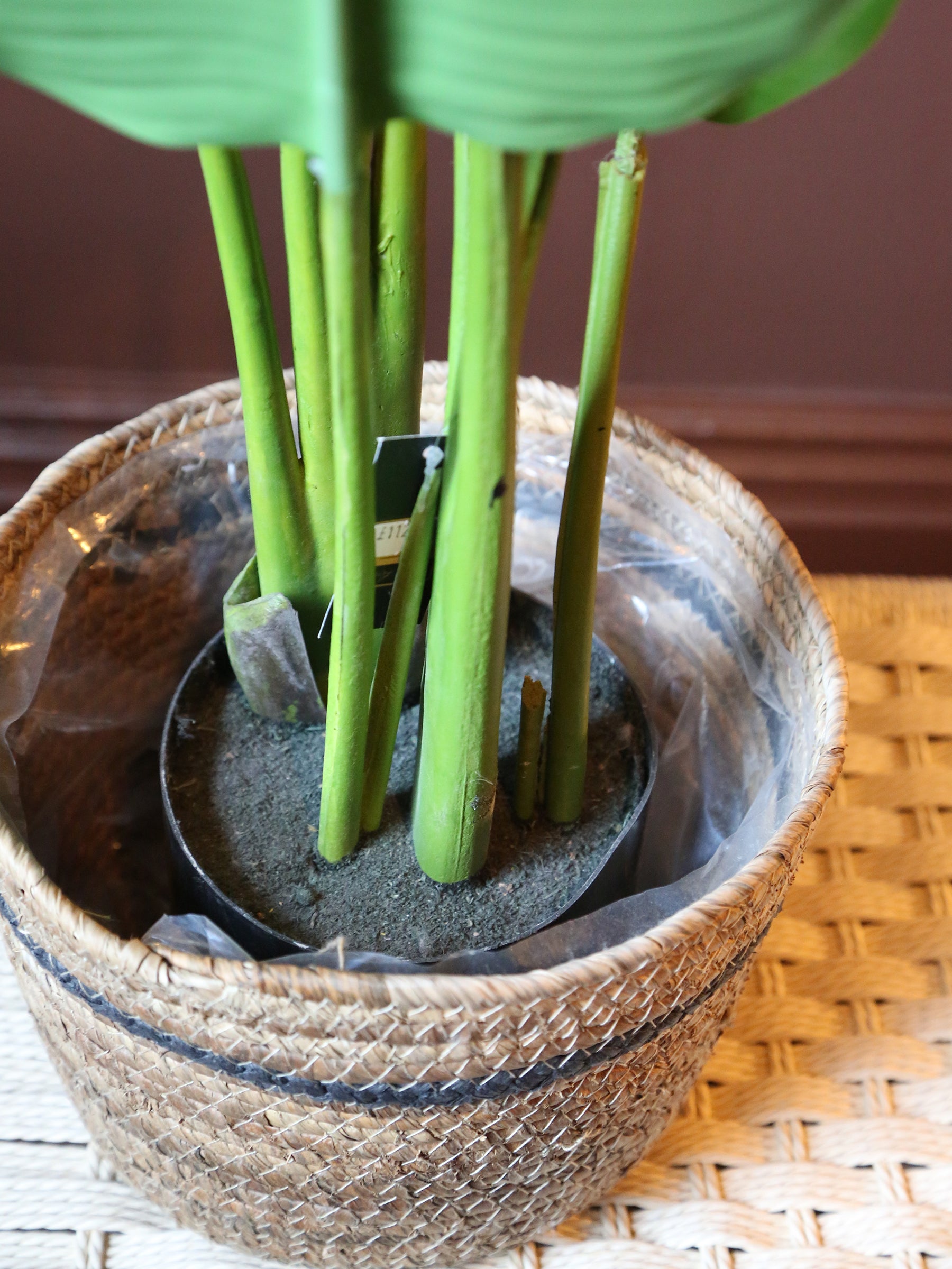 Faux Potted Strelitzia - Real Touch - 2 Sizes Available