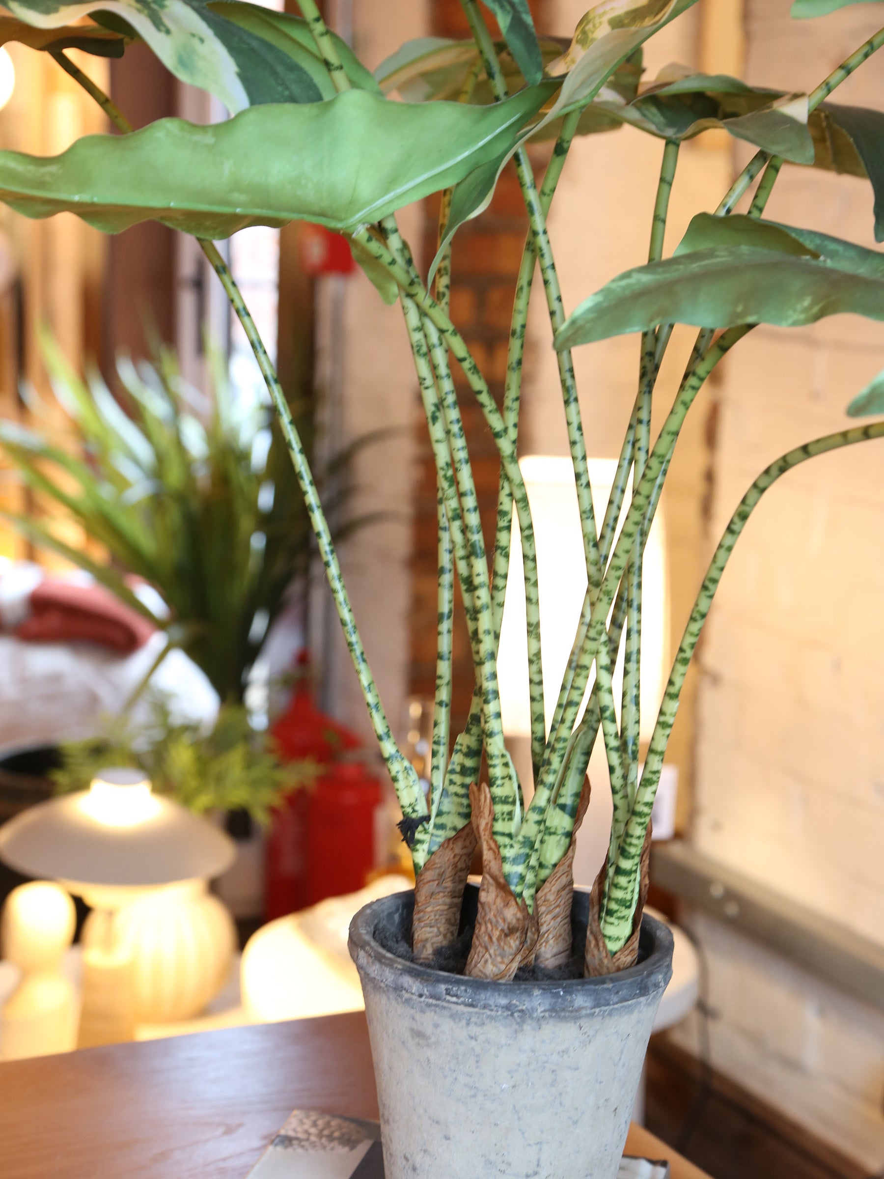 Faux Striped Zebra Leaf Potted Plant