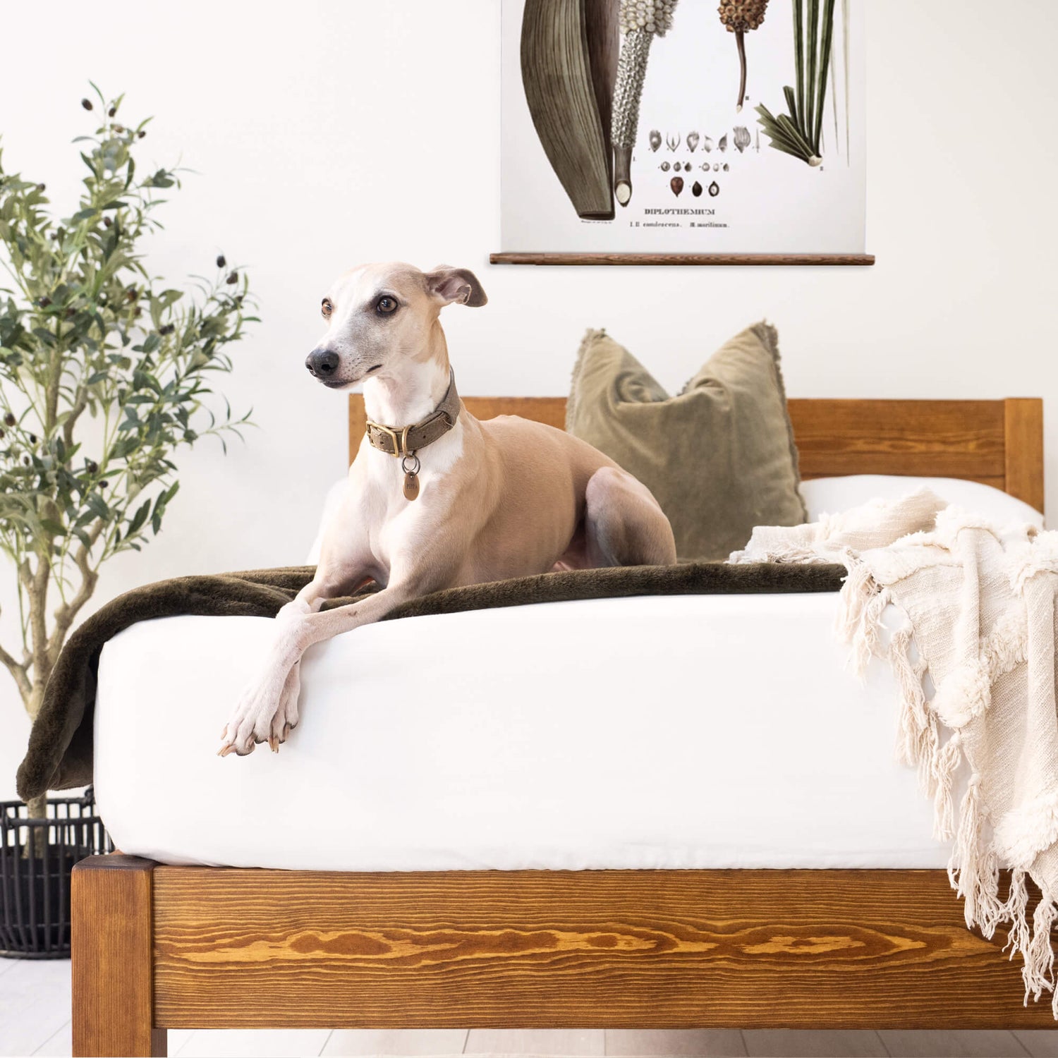 Model 01 – Handmade Wooden Bed - Colour & Size Options Available