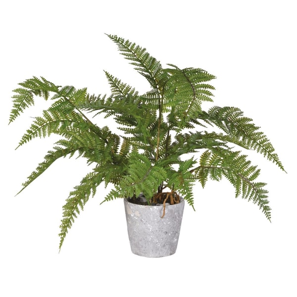 Faux Bracken Fern in Pot