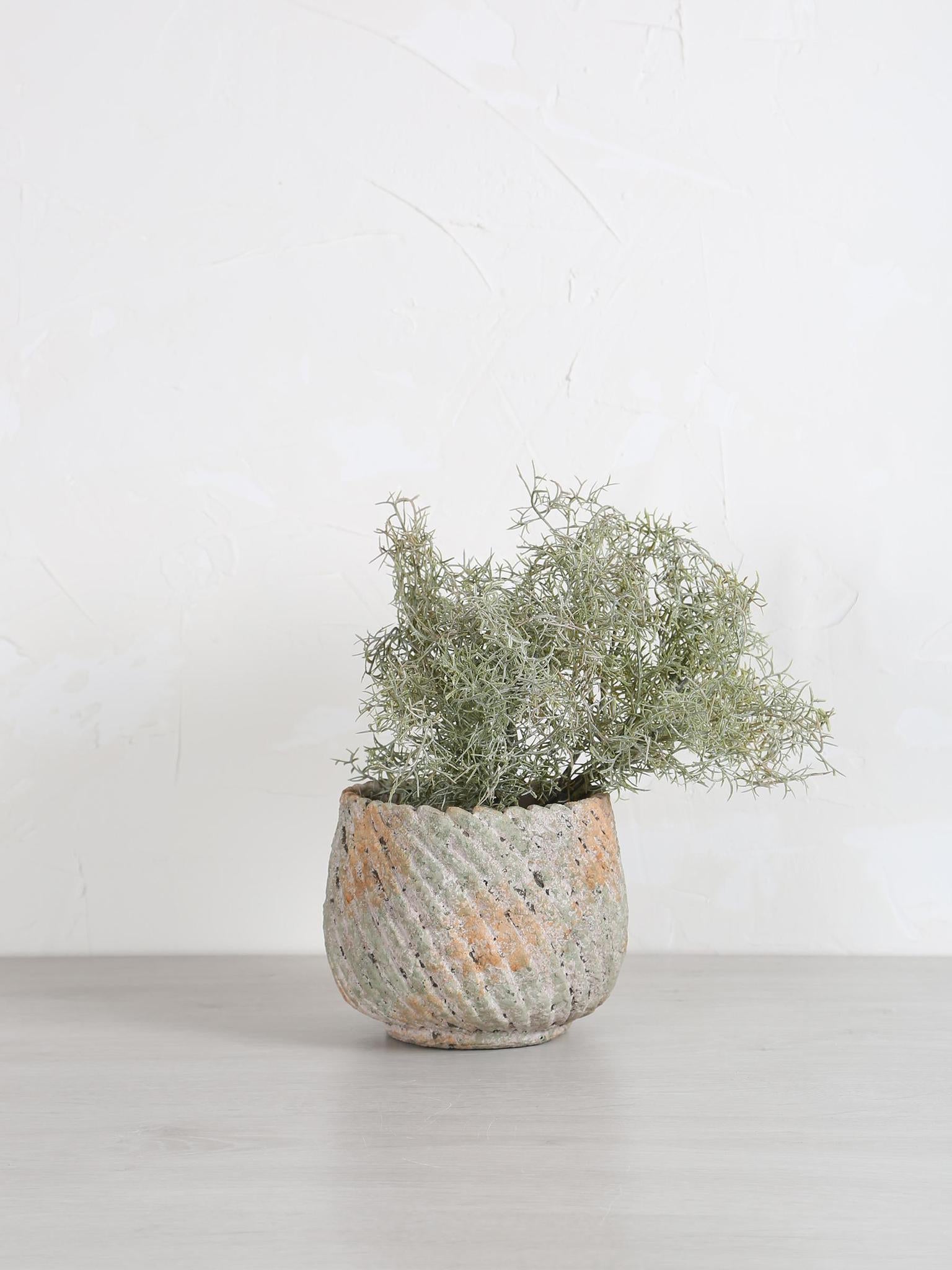 Faux Spanish Moss Bush