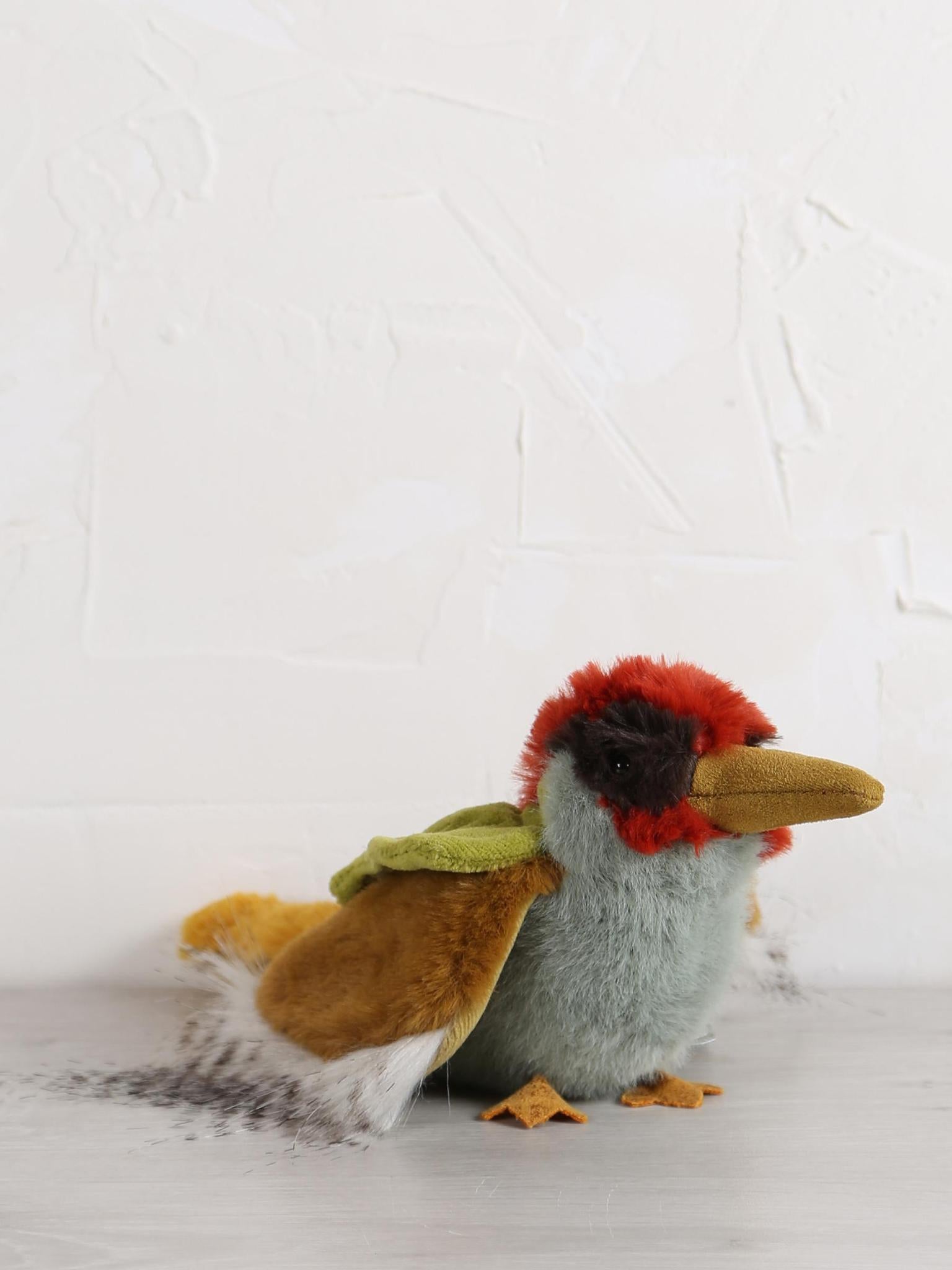 Green woodpecker - Tout autour du monde