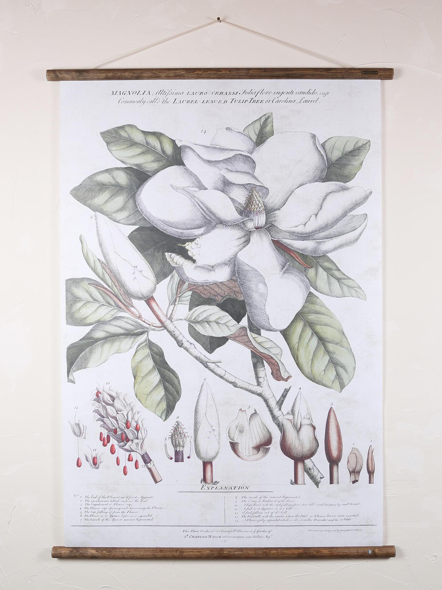 Wall Hanging Magnolia