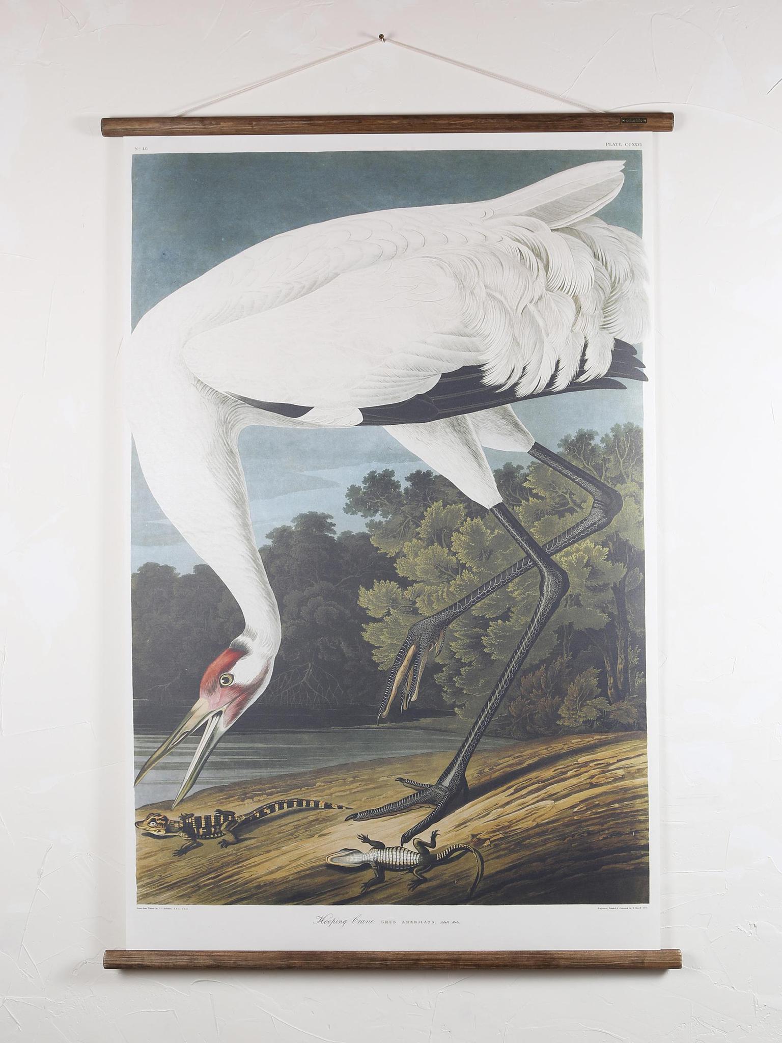 Wall Hanging Hooping Crane