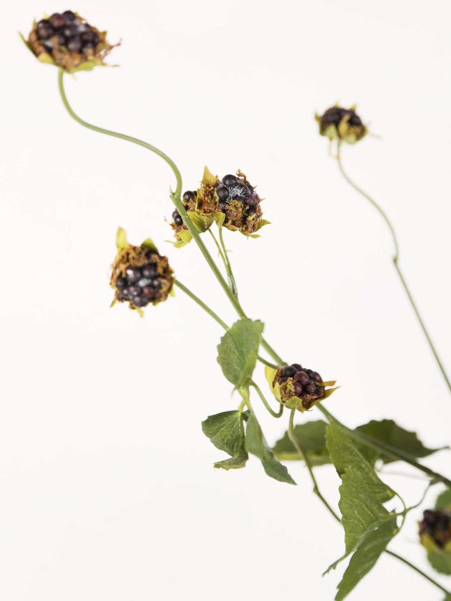 Faux Wild Blackberry Stem