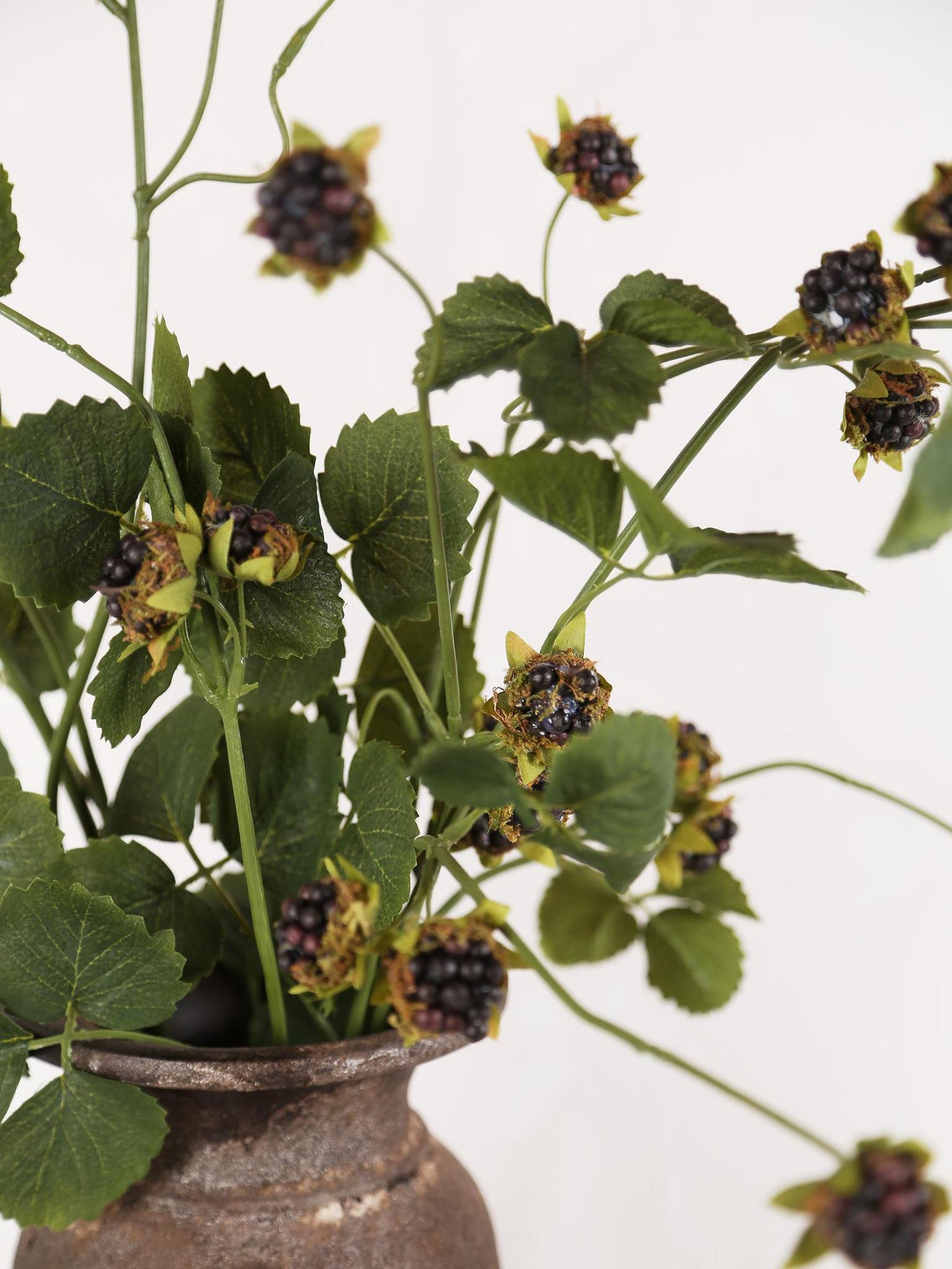 Faux Wild Blackberry Stem