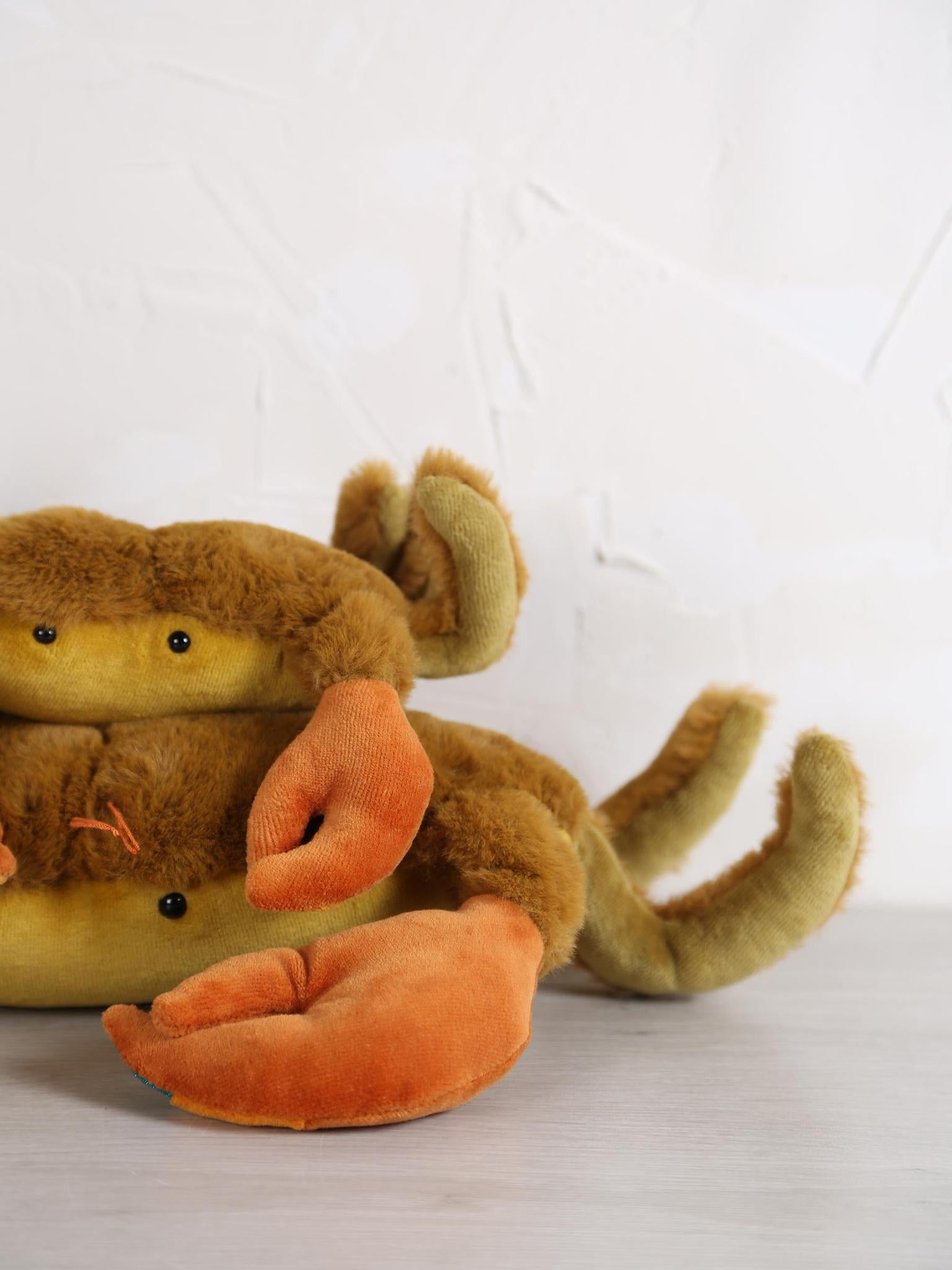 Small crab - Tout autour du monde