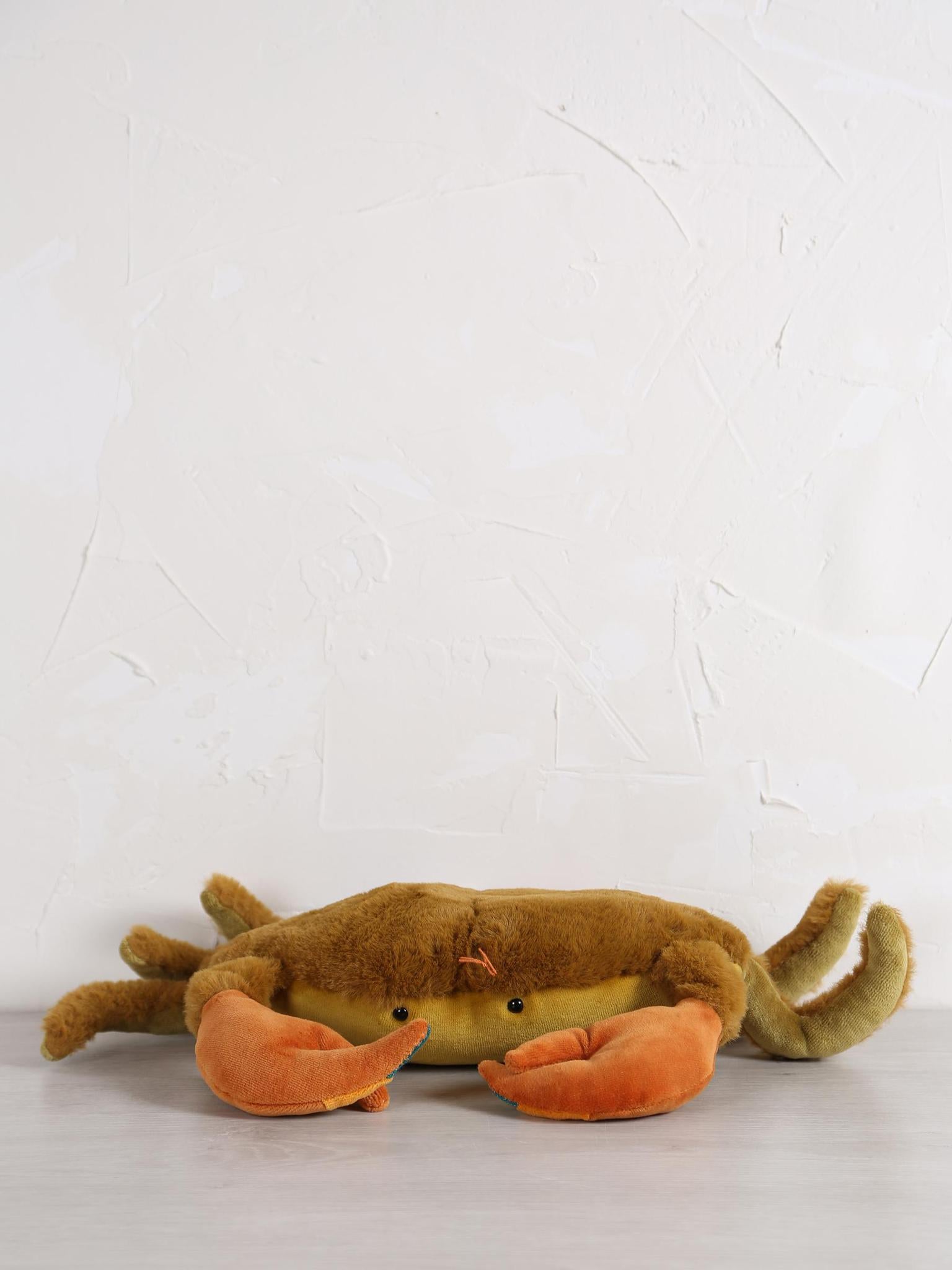 Small crab - Tout autour du monde