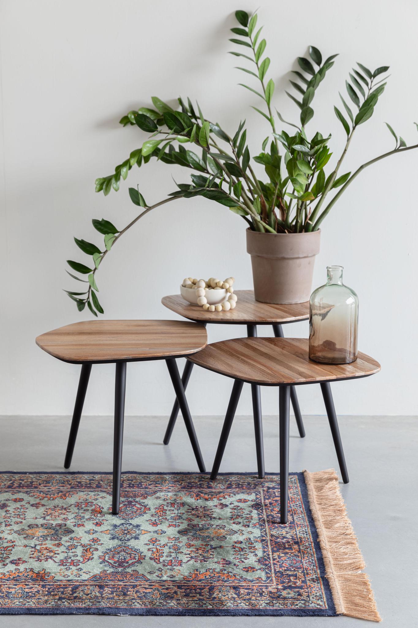 Coffee Table Cuties - Set of 3