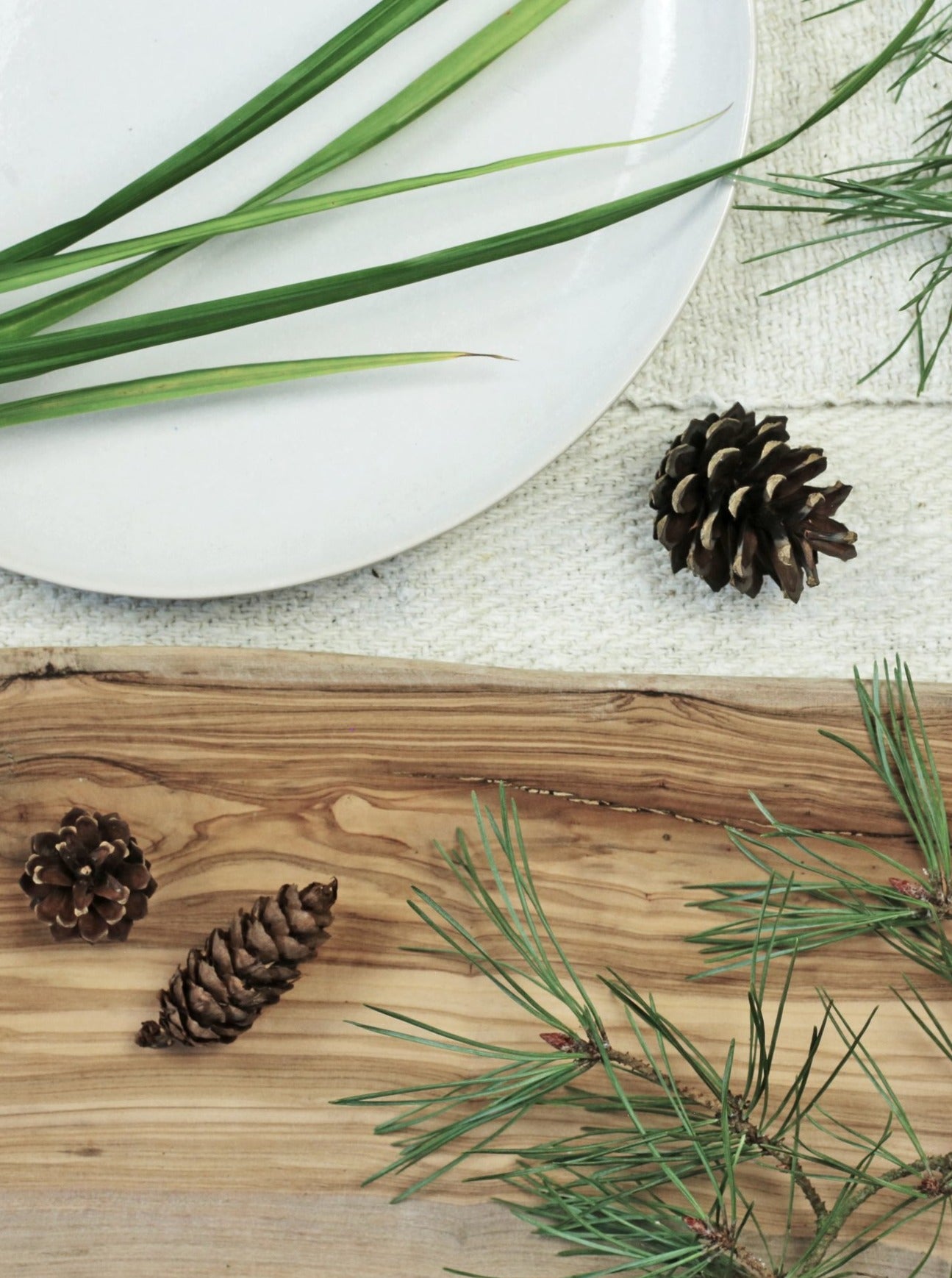 Pause No. 3 Aromatherapy Blend 10ml