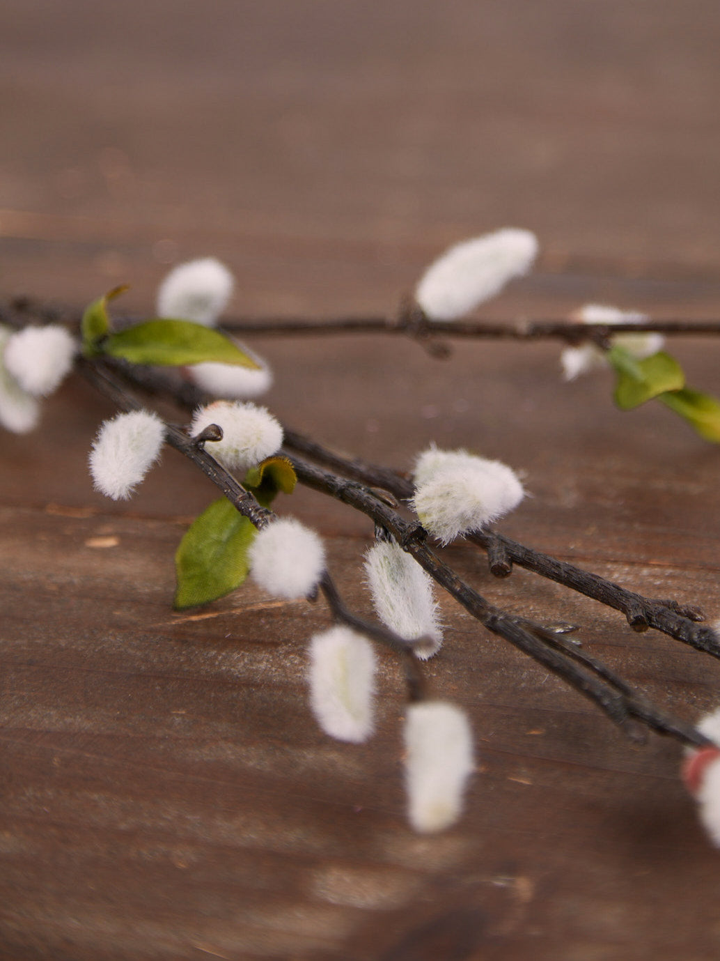 Natural Pussy Willow Stem