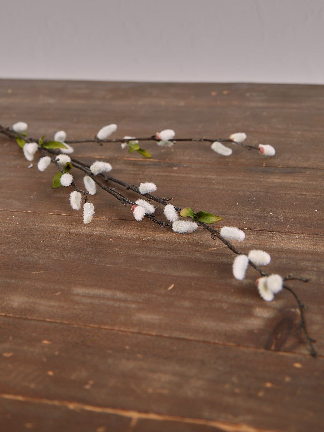 Natural Pussy Willow Stem