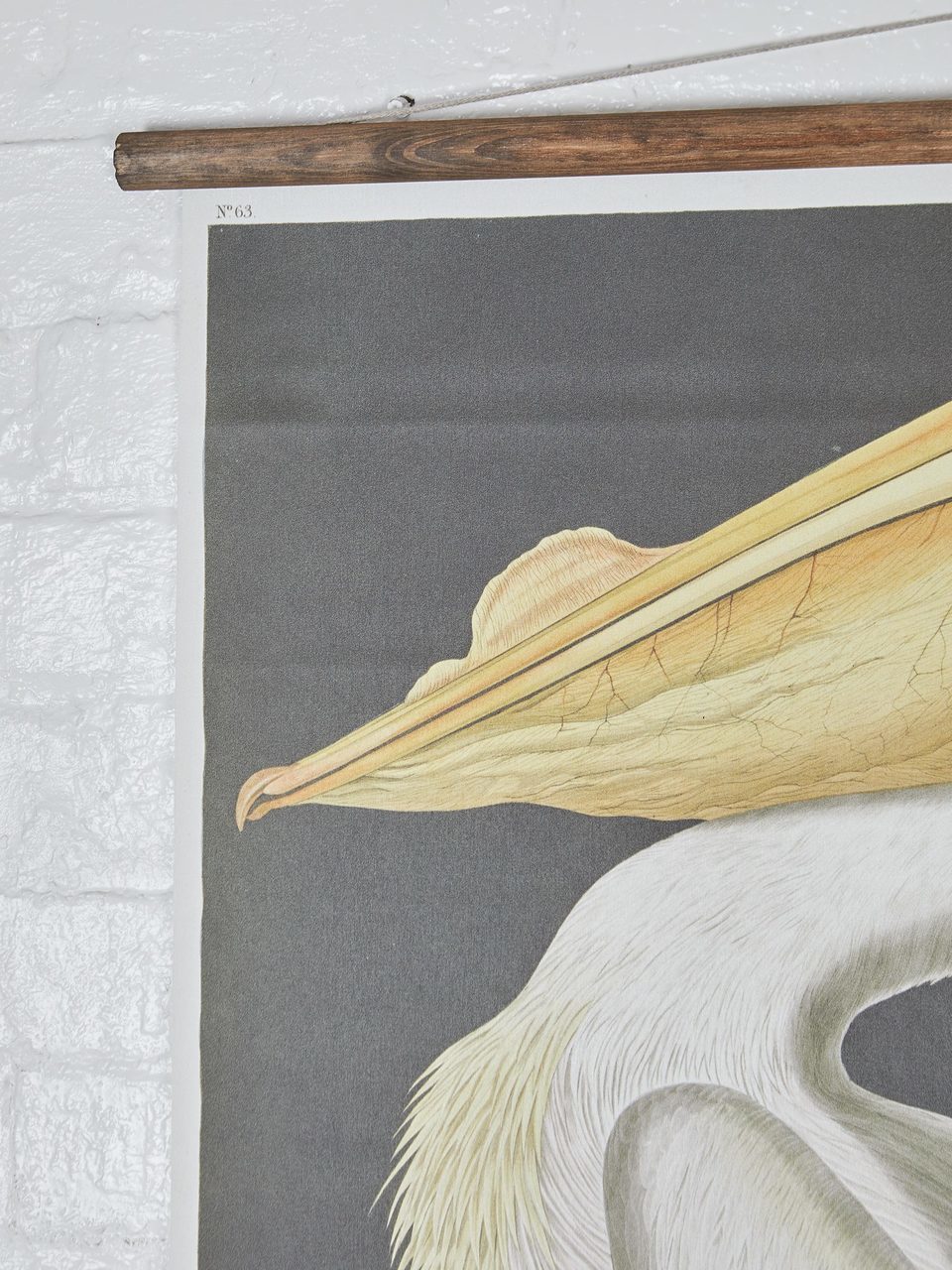 Wall Hanging American Pelican